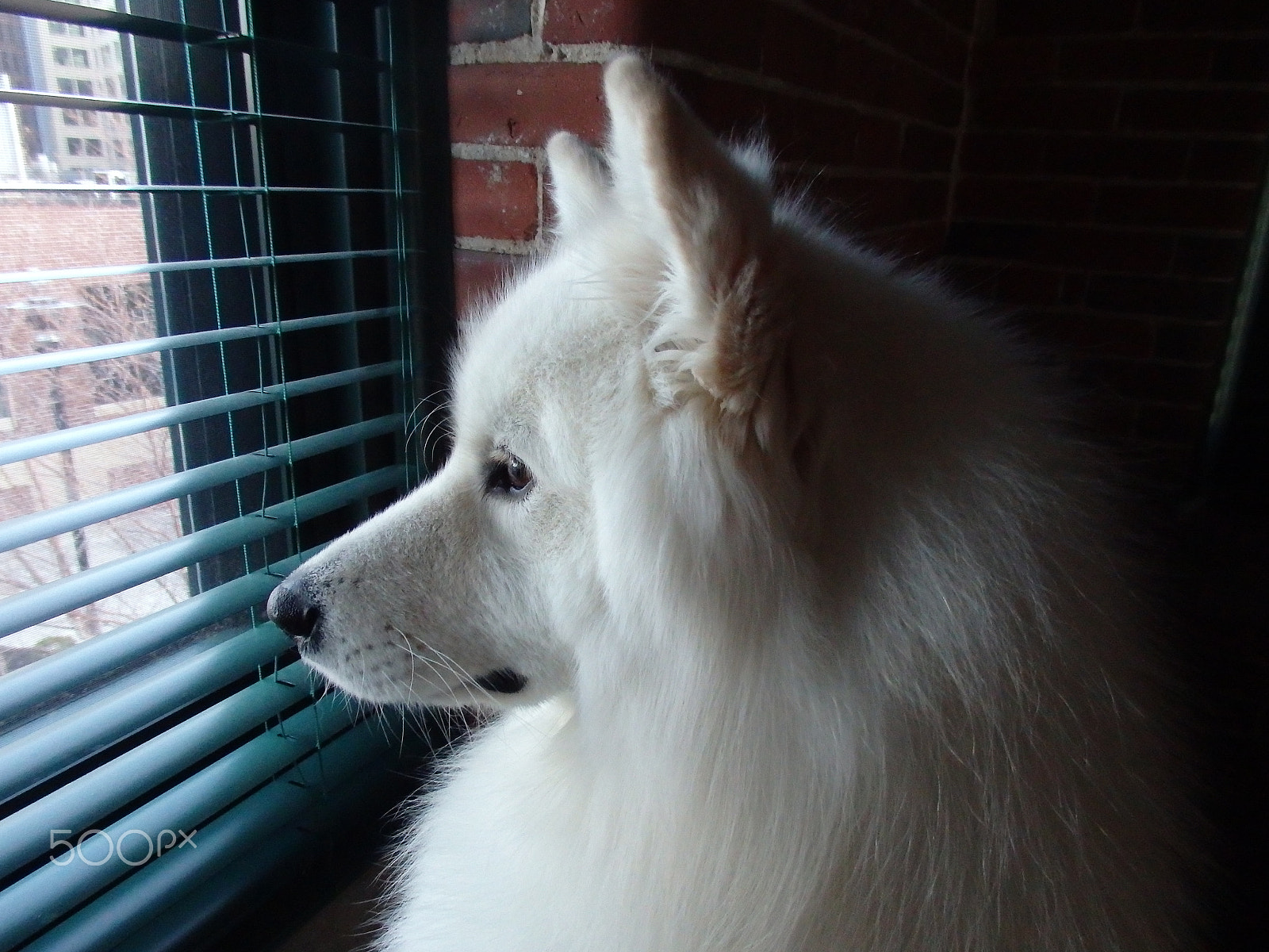 Olympus SH-60 sample photo. Watching the world go by photography