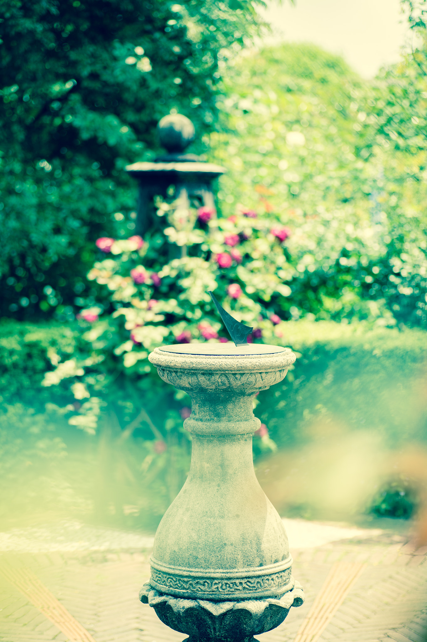 Nikon Df sample photo. English garden photography