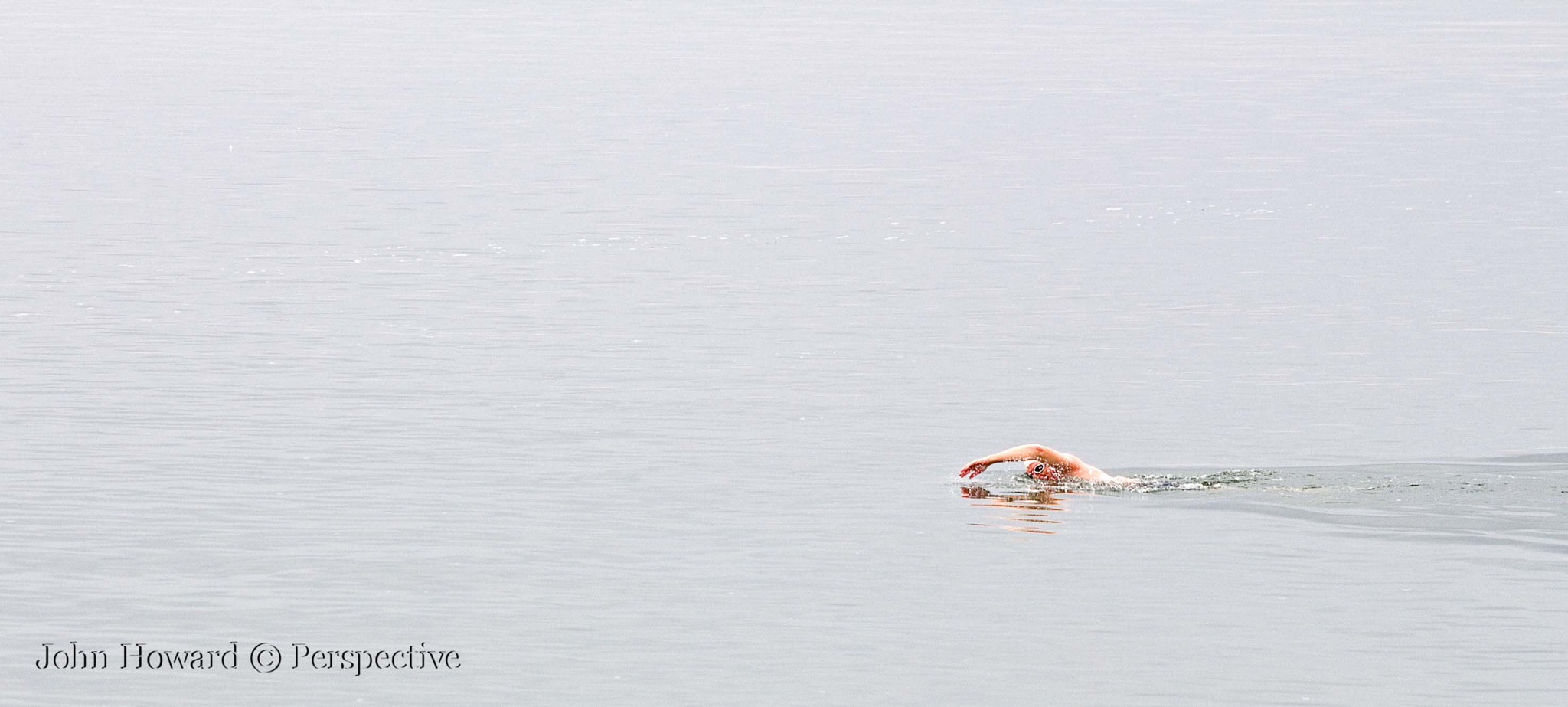Sigma 70-300mm F4-5.6 APO DG Macro sample photo. "lone swimmer" photography