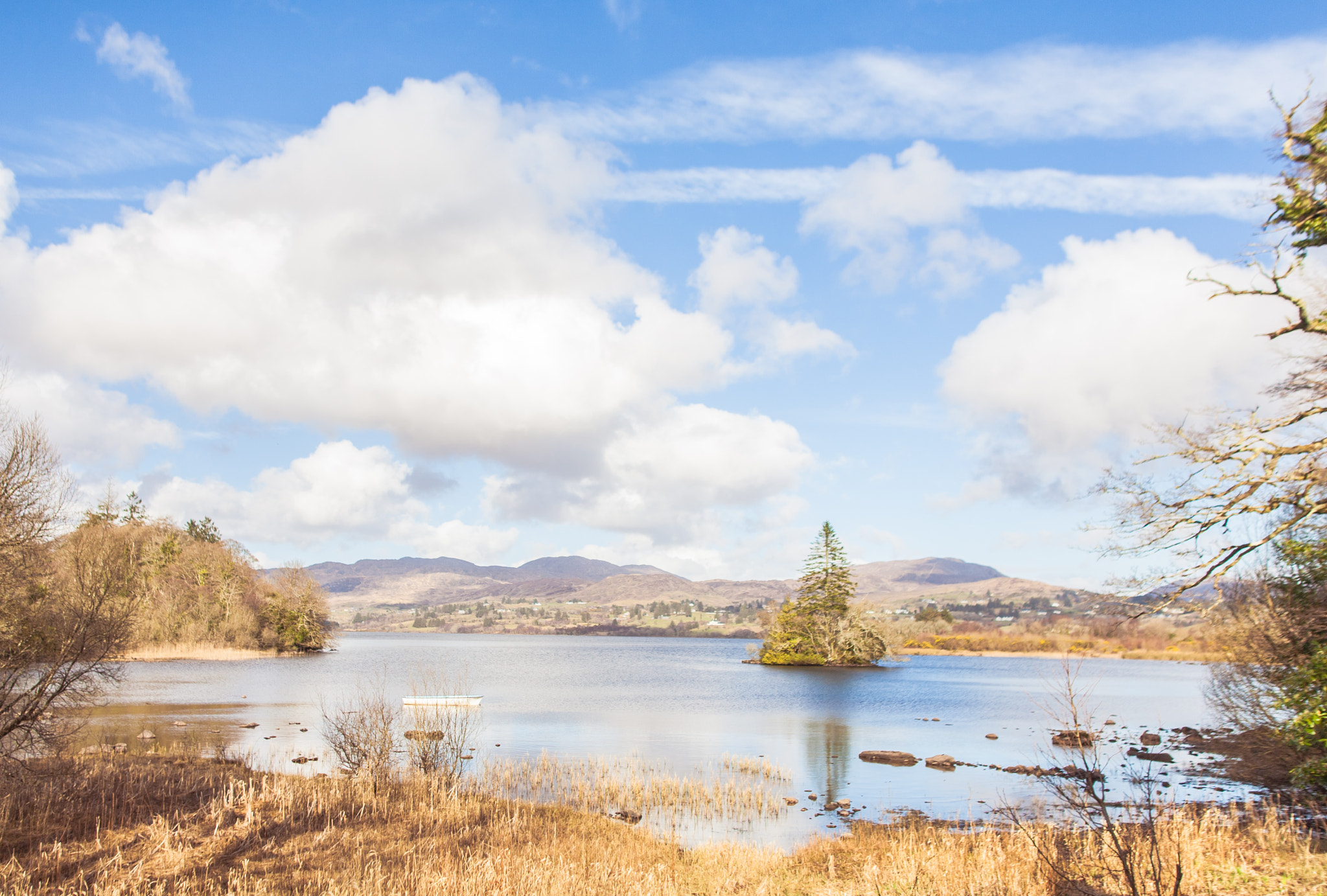 Sigma 28mm f/1.8 DG Macro EX sample photo. Lough eske photography