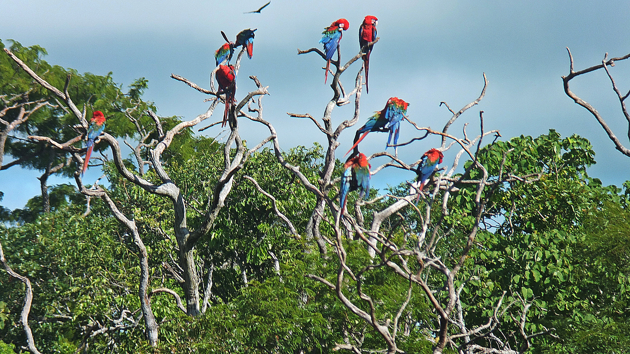 Fujifilm FinePix F770EXR (FinePix F775EXR) sample photo. Buraco das araras - bonito - ms - brasil photography