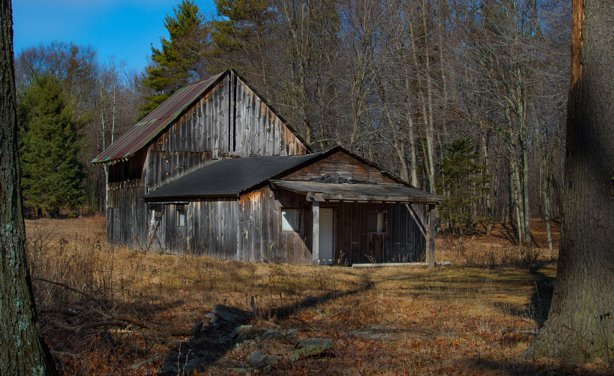 Nikon D3200 + Nikon PC-E Nikkor 24mm F3.5D ED Tilt-Shift sample photo. Building photography