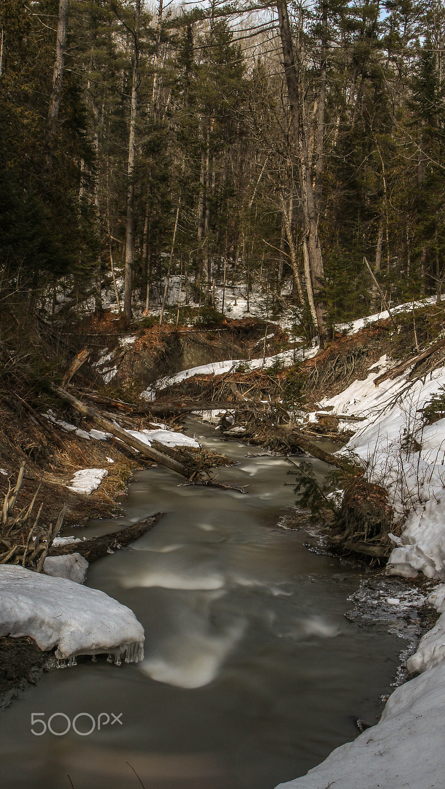 Canon EF 24-70mm F4L IS USM sample photo. Young river photography