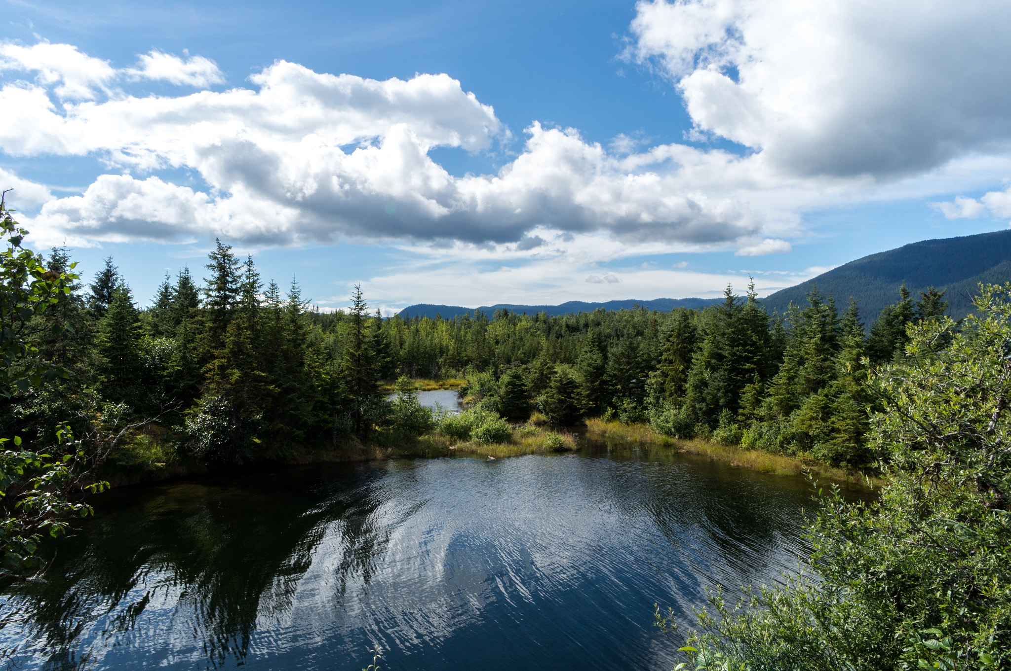 Sony Alpha NEX-3N + Sony E 20mm F2.8 sample photo. Alaska photography