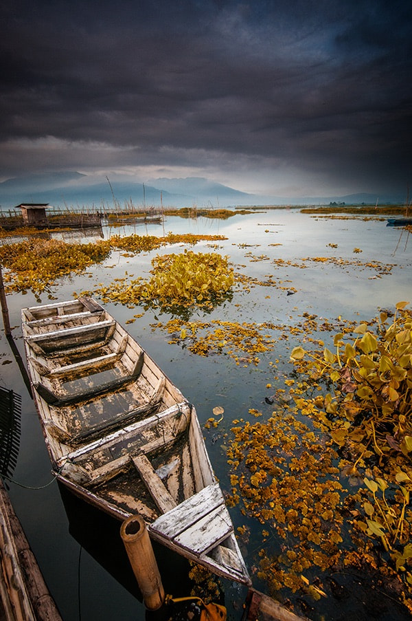 Nikon D300S sample photo. Silent photography