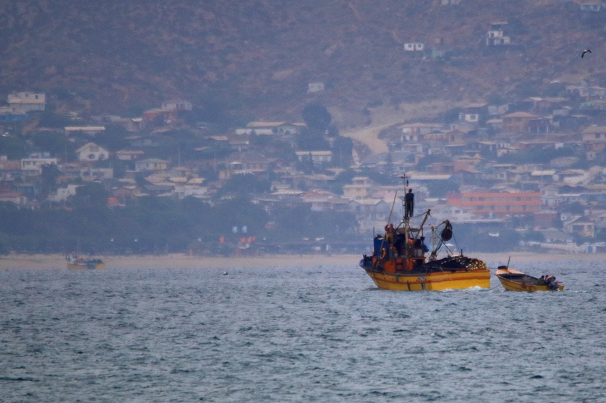 Sigma 150-500mm F5-6.3 DG OS HSM sample photo. Pesquero photography