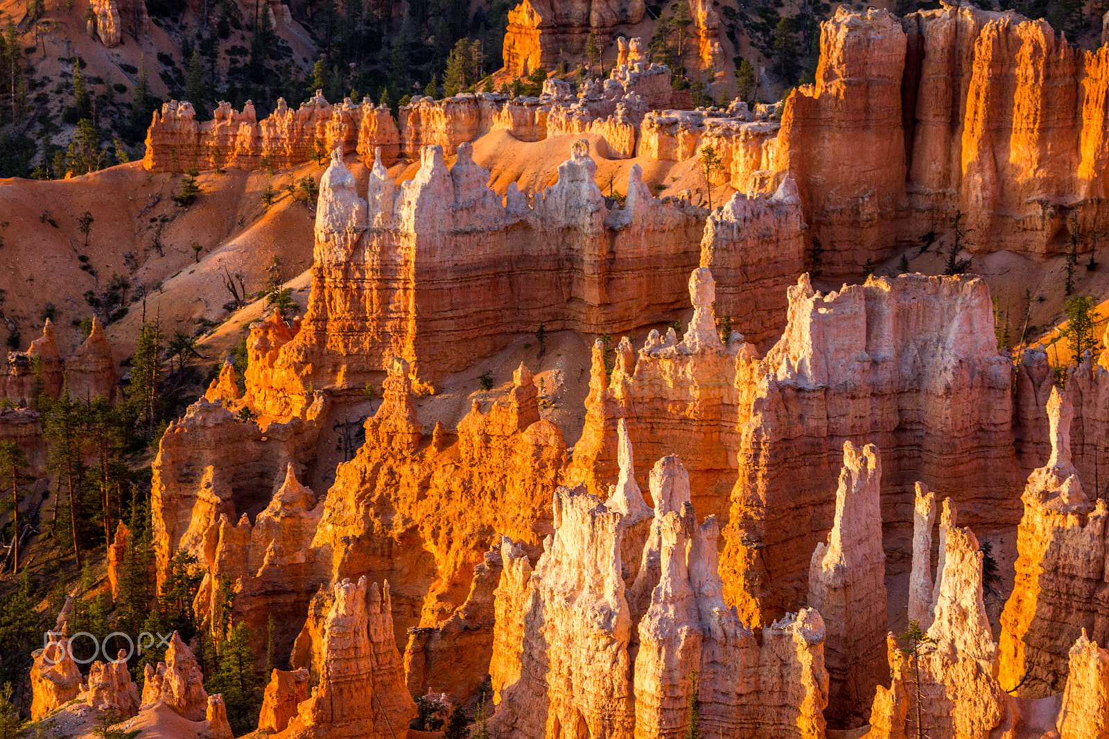 Canon EOS 550D (EOS Rebel T2i / EOS Kiss X4) sample photo. Bryce canyon photography