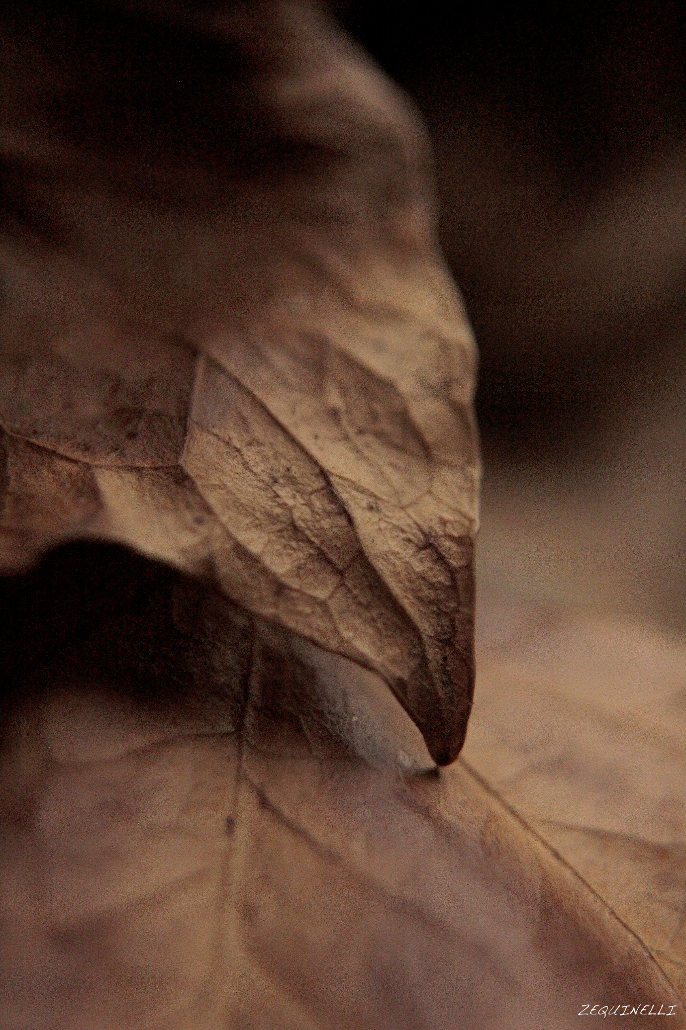 Sigma 28-80mm f/3.5-5.6 II Macro sample photo. Aveces uno se queda atrapado entre sueños photography