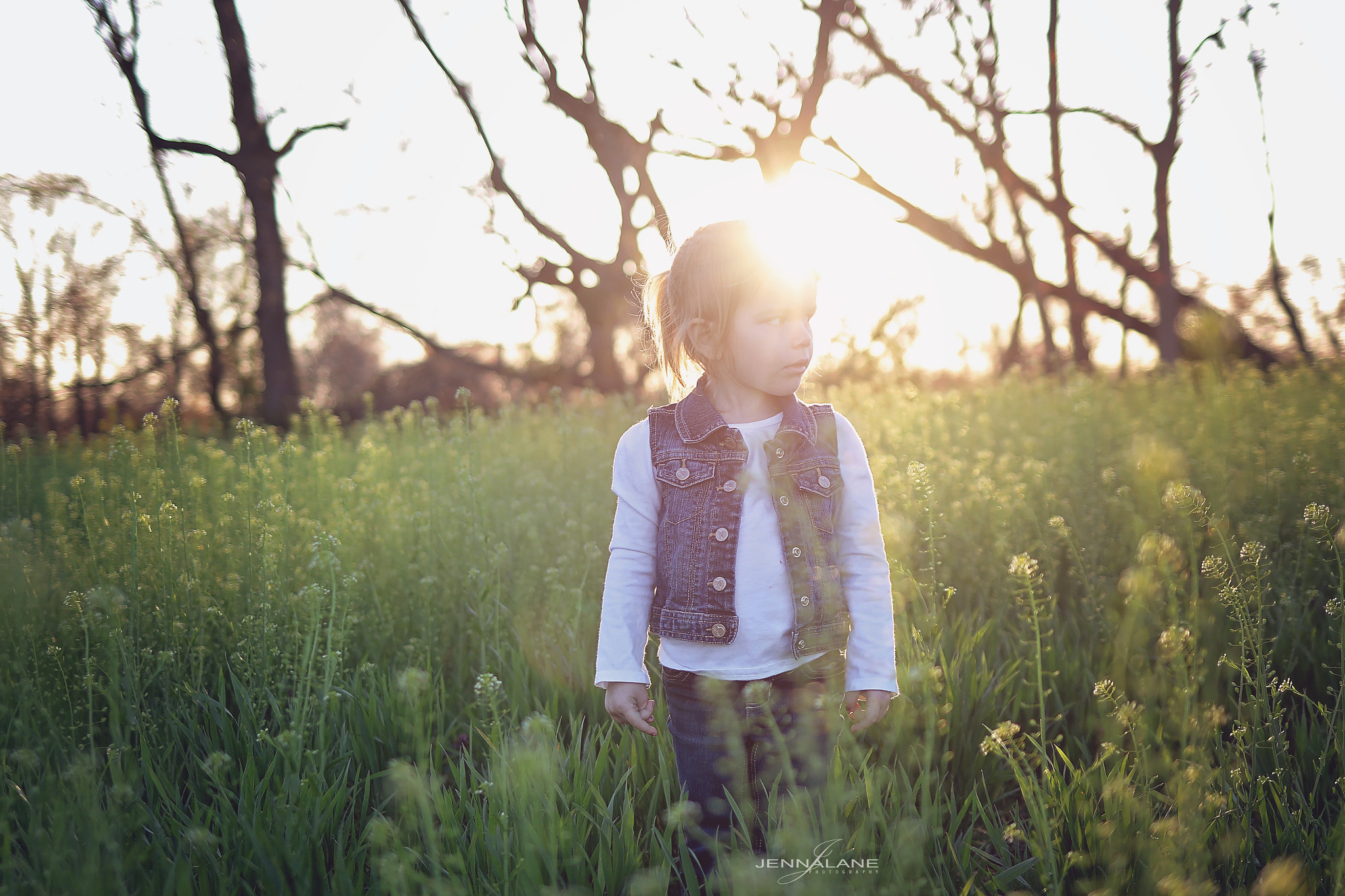 Canon EF 35mm F2 IS USM sample photo. Shining photography