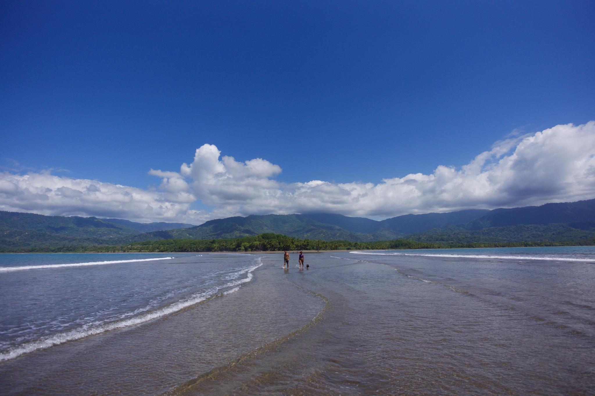 ZEISS Touit 12mm F2.8 sample photo. Walking up the whales tail photography