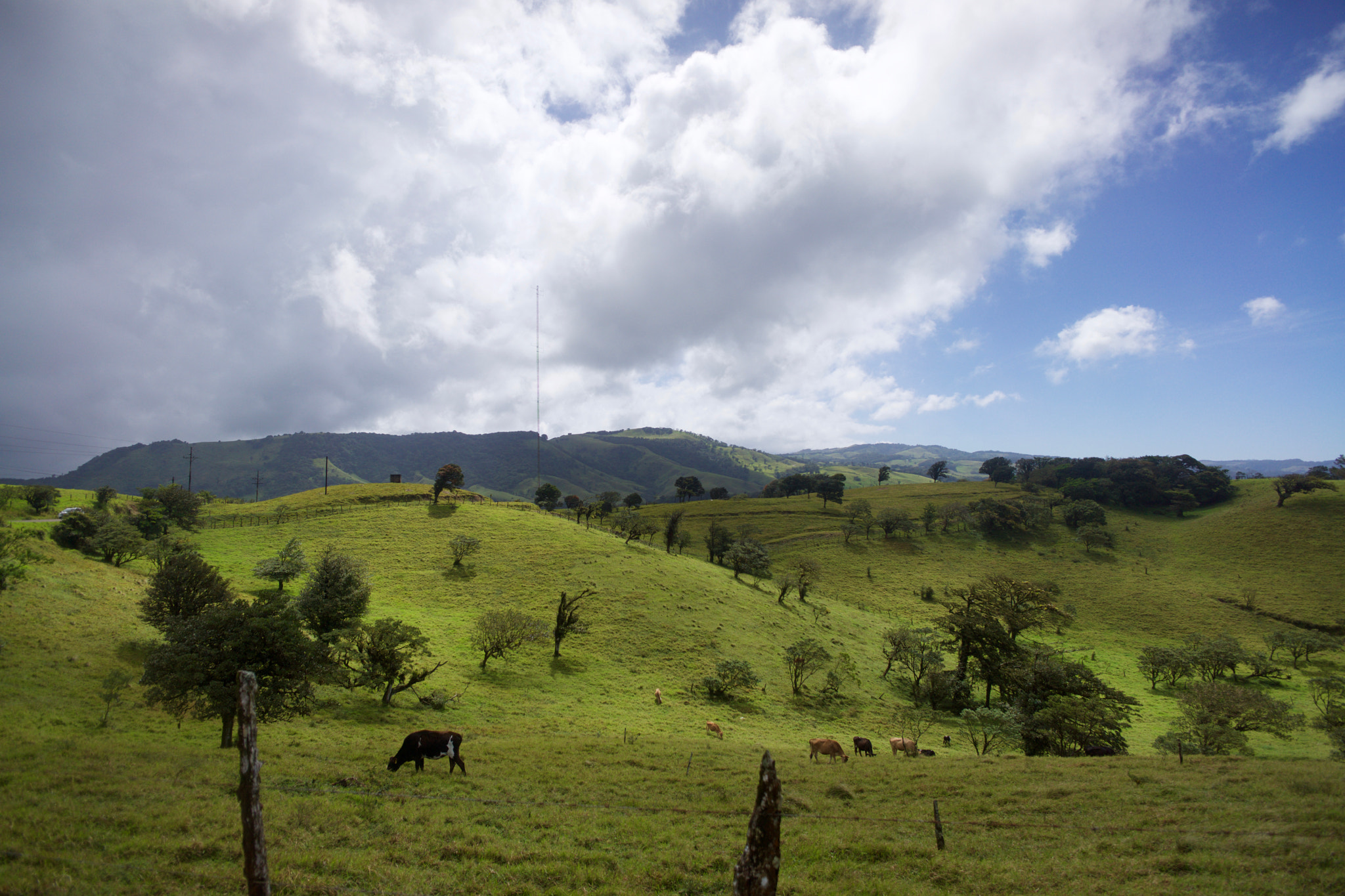 Sony Alpha NEX-7 + ZEISS Touit 12mm F2.8 sample photo. Road to tilran photography