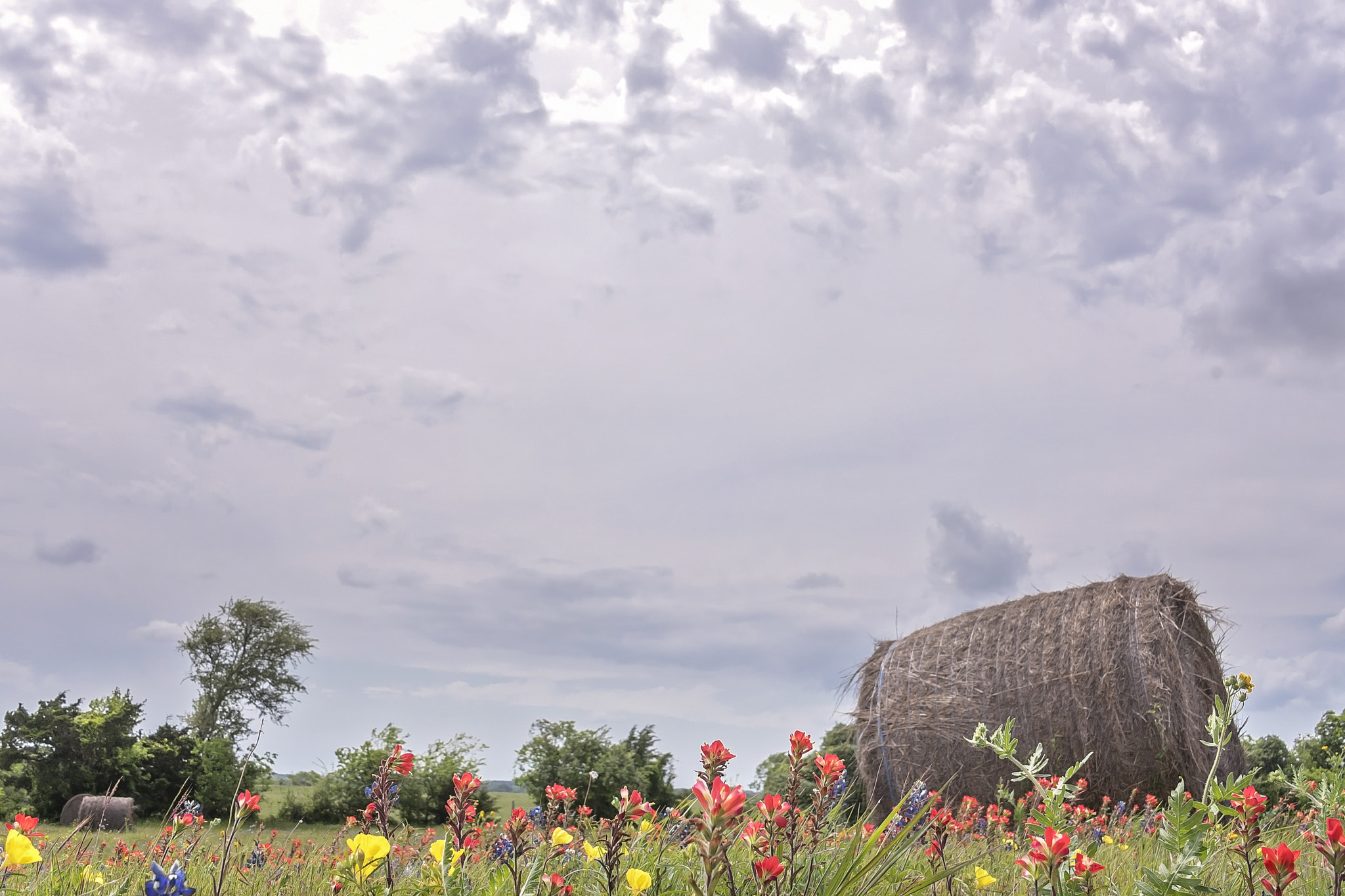 Nikon D750 + Nikon AF-S DX Nikkor 18-300mm F3.5-5.6G ED VR sample photo. Spring has sprung: hay bales and sky photography