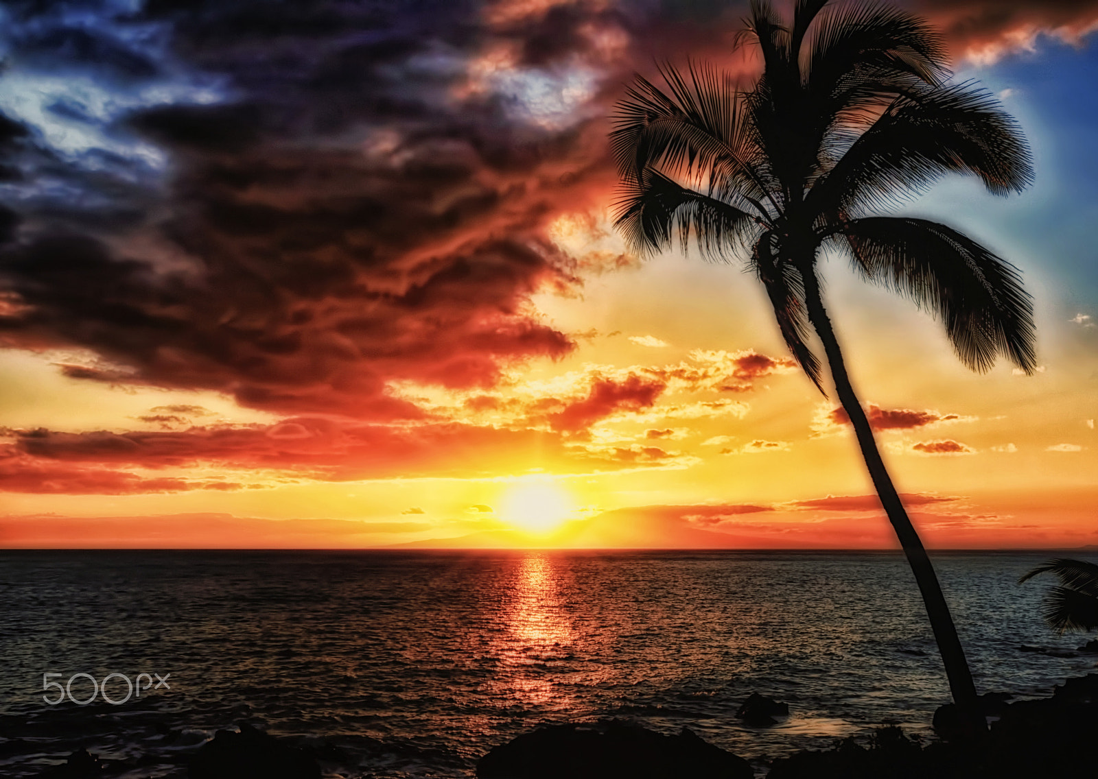 AF Zoom-Nikkor 28-80mm f/3.3-5.6G sample photo. Dreamy island palm photography