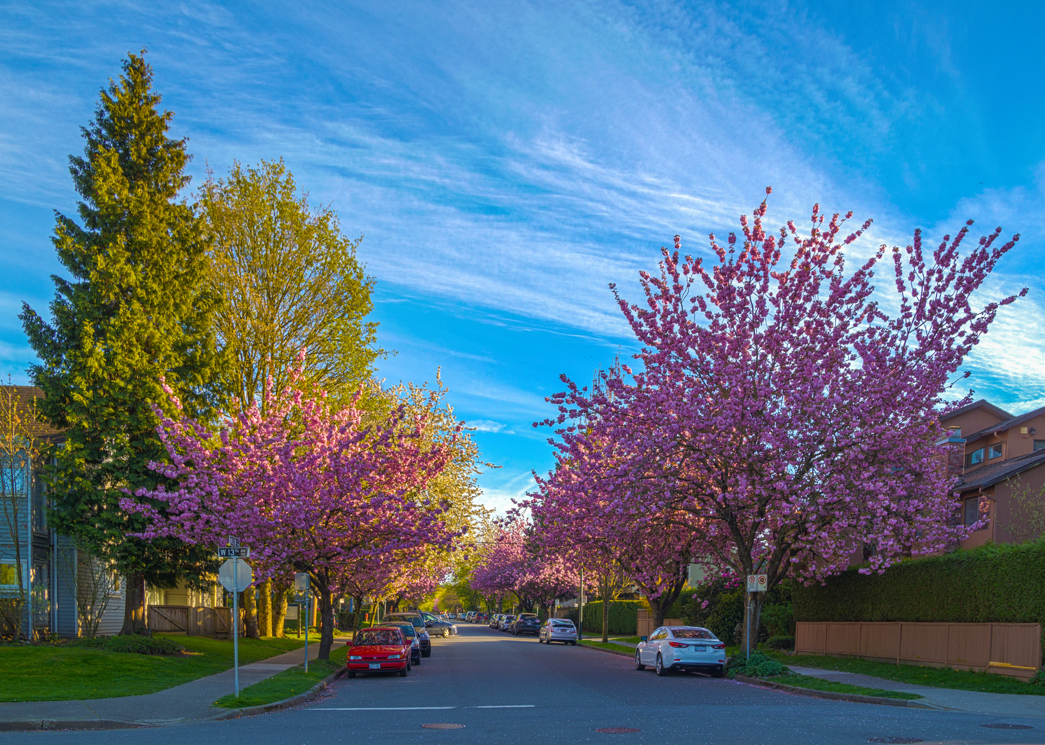 Sigma 18-50mm f/2.8 Macro sample photo. Hdr photography