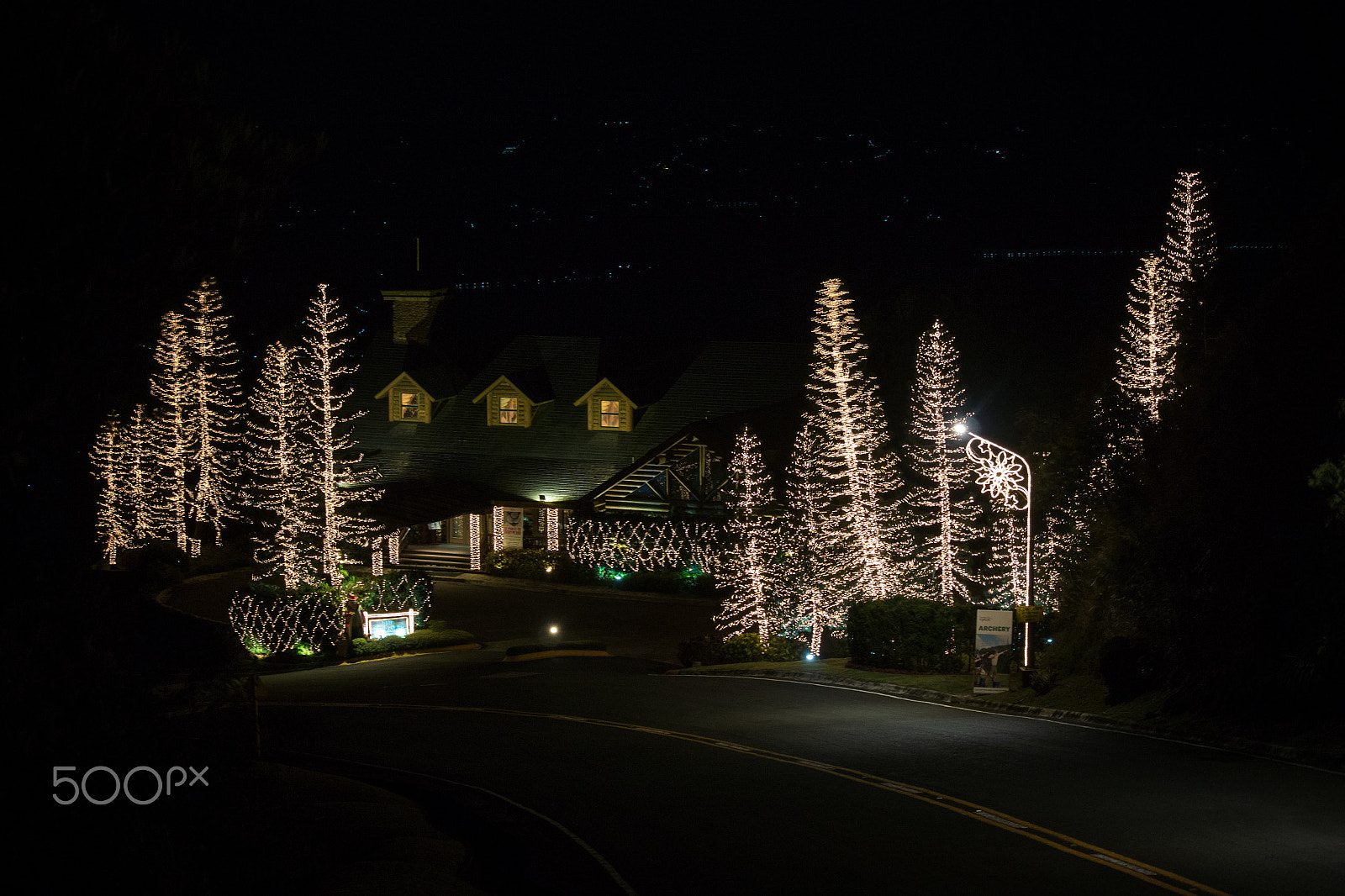 Nikon 1 Nikkor VR 30-110mm F3.8-5.6 sample photo. Christmas trees photography