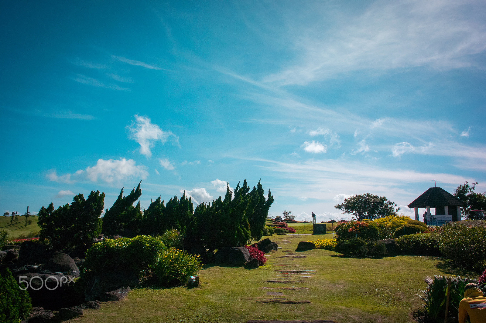 Nikon 1 V3 + Nikon 1 Nikkor 10mm F2.8 sample photo. To the sky photography