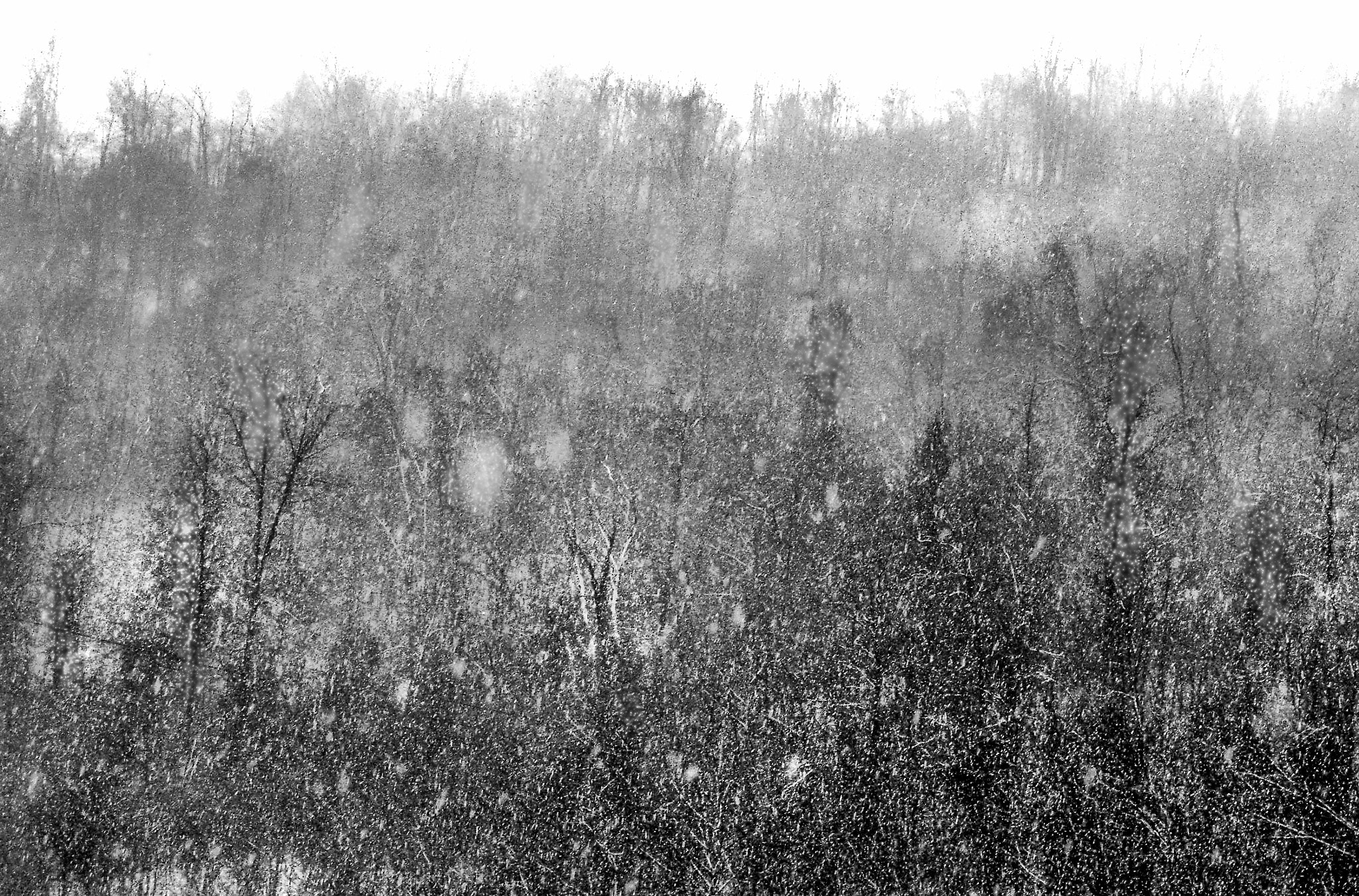 Olympus X-3,C-60Z sample photo. Sudden snow squall photography