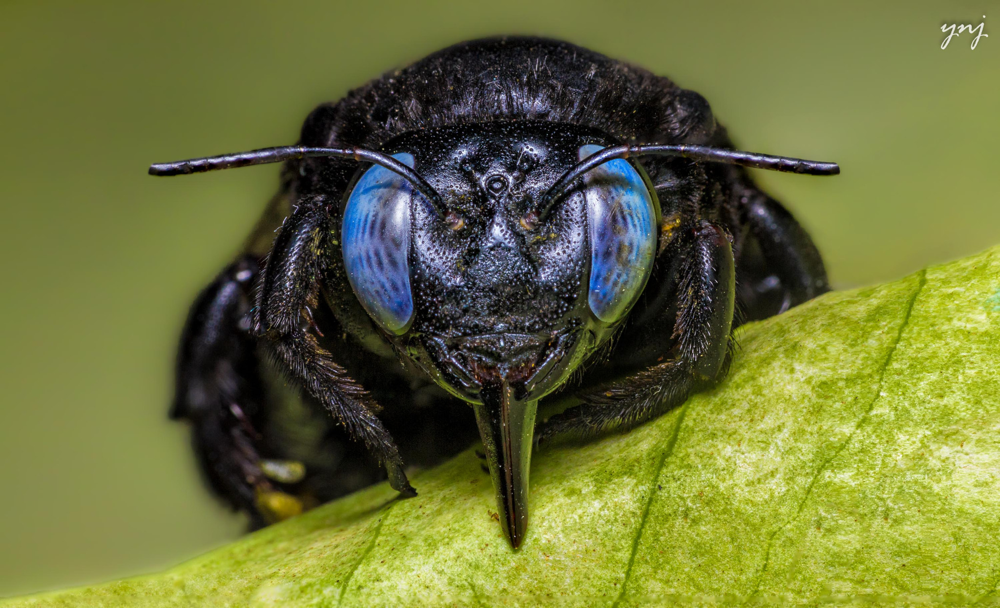 Sigma 70-300mm F4-5.6 APO DG Macro sample photo. It's coming to get you photography