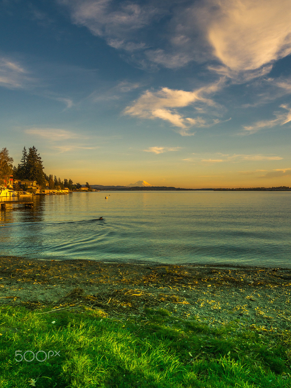 Olympus OM-D E-M10 + OLYMPUS M.12-50mm F3.5-6.3 sample photo. Sunset and swiming at denny park photography