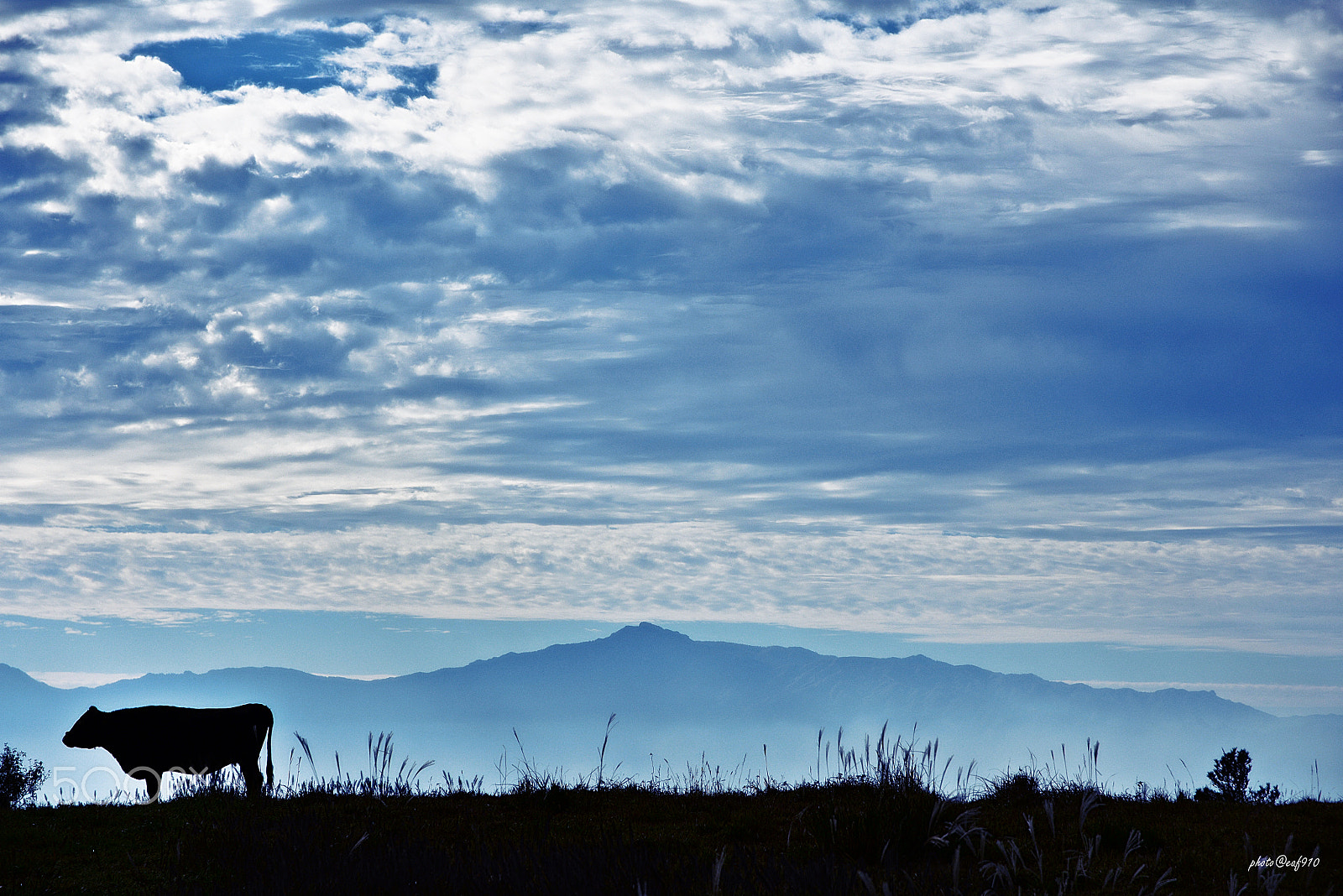 Sigma 17-70mm F2.8-4 DC Macro OS HSM | C sample photo. Kuju mountain range photography