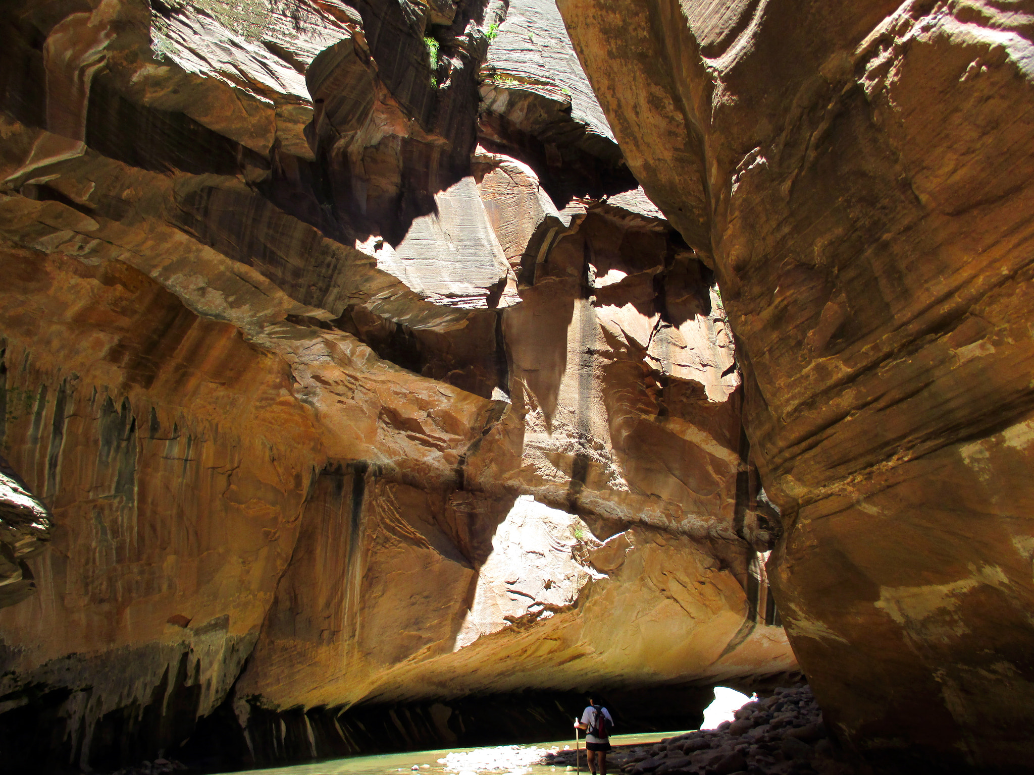 Canon PowerShot ELPH 130 IS (IXUS 140 / IXY 110F) sample photo. Hiking the narrows, virgin river photography