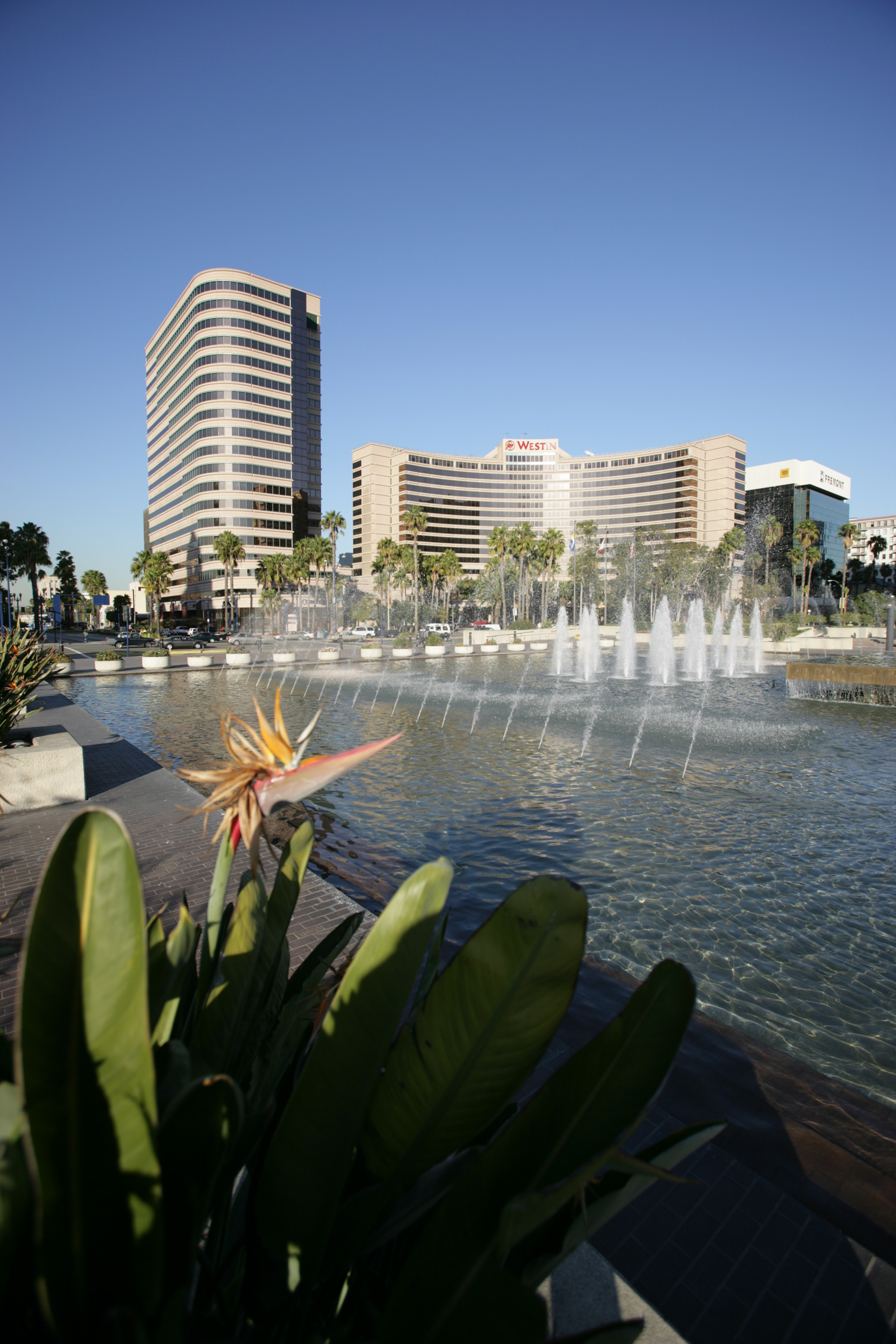 Canon EOS-1Ds Mark II + Canon EF 16-35mm F2.8L USM sample photo. Long beach skyline photography