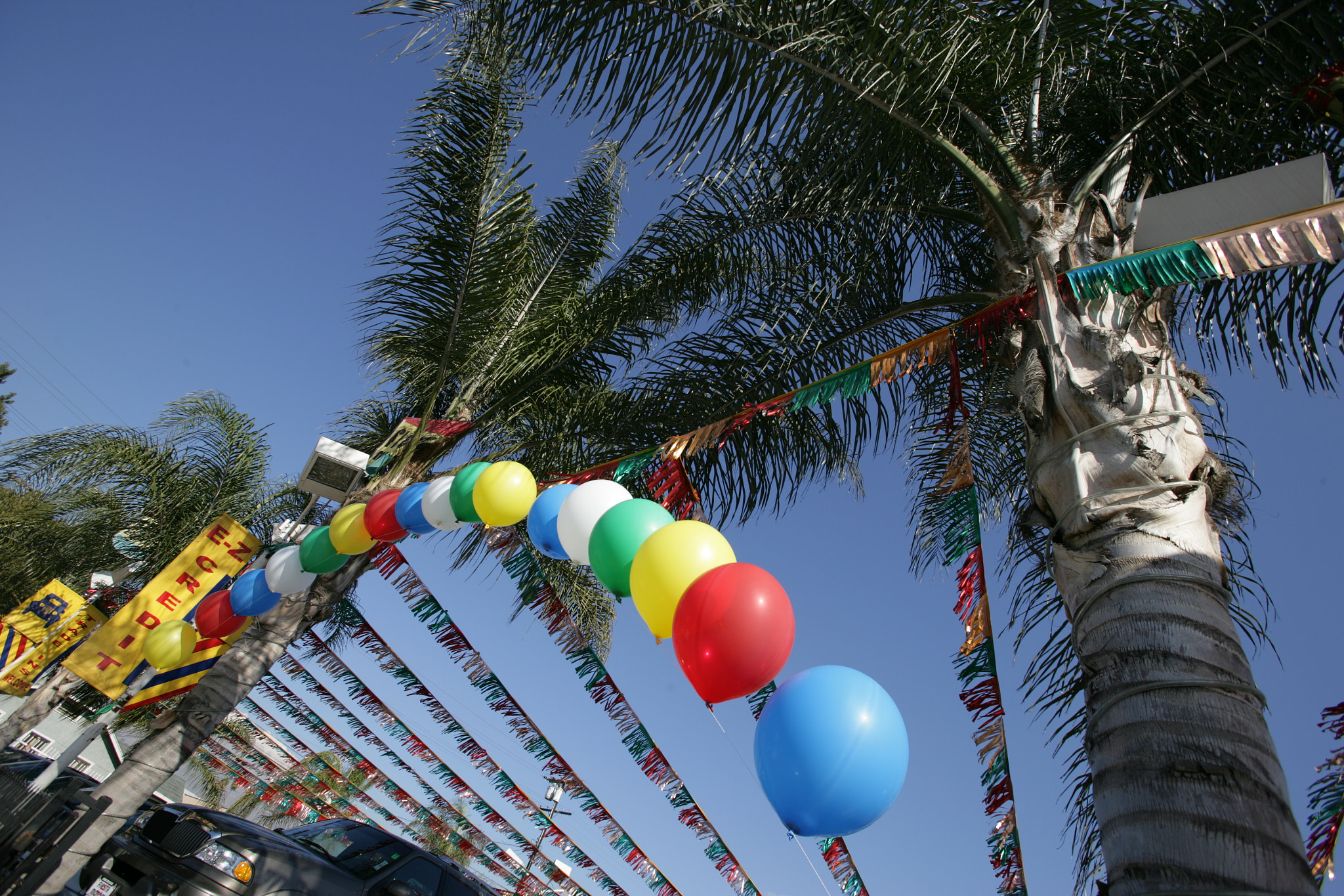 Canon EOS-1Ds Mark II + Canon EF 16-35mm F2.8L USM sample photo. Balloons with palms photography