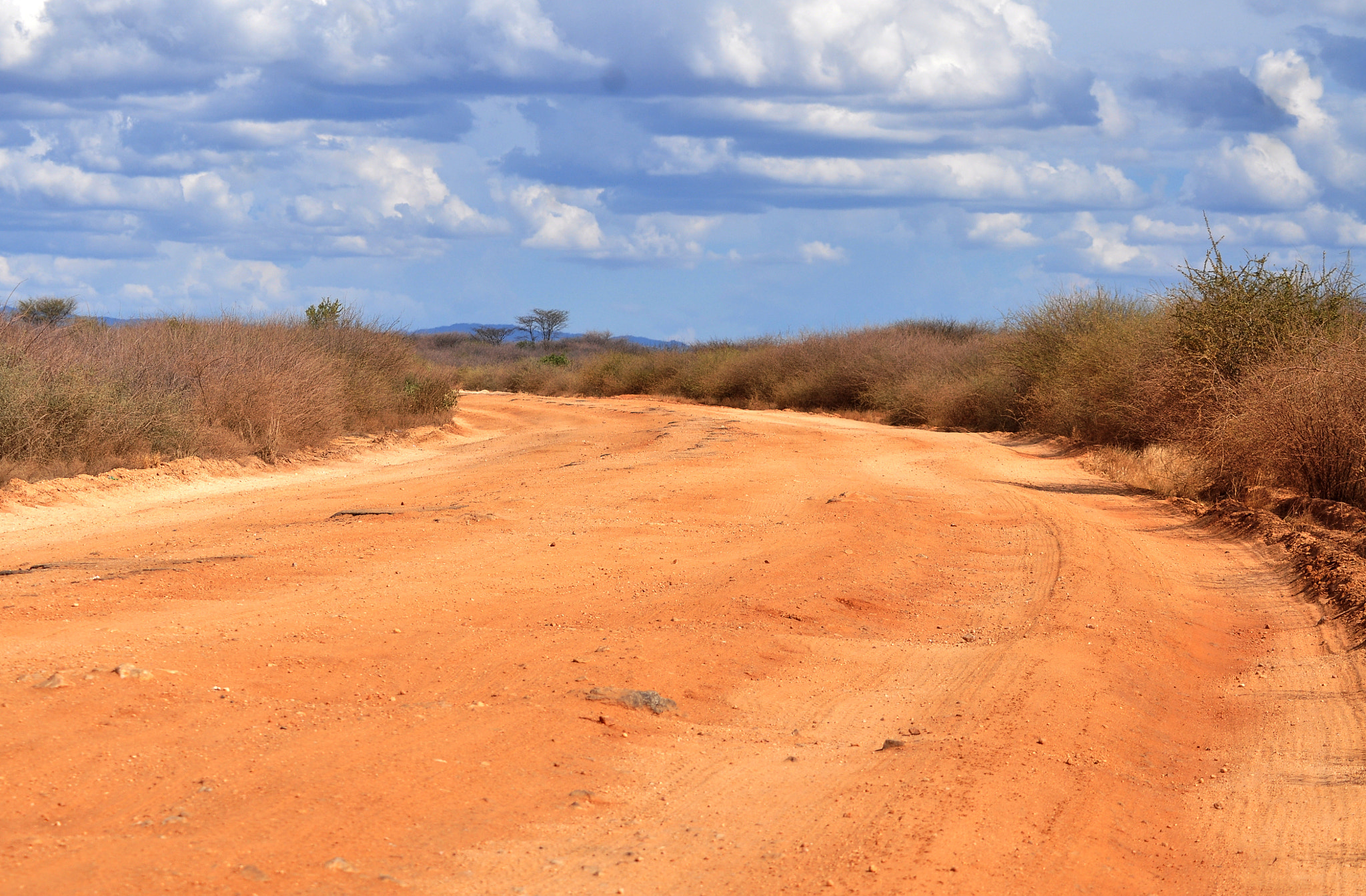 AF Zoom-Nikkor 70-300mm f/4-5.6D ED sample photo. Road to cradle of mankind photography