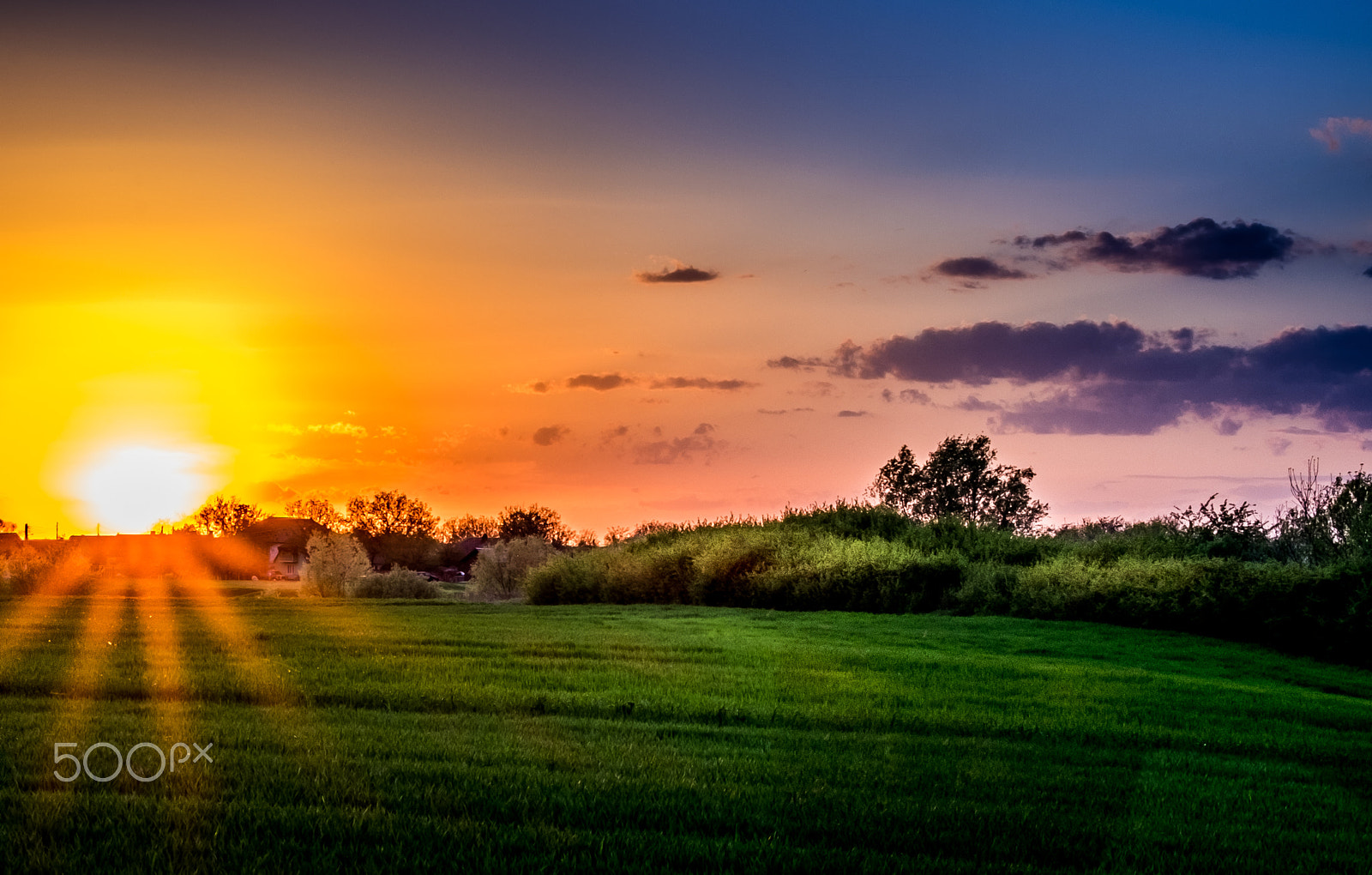 Fujifilm X-E2 + Fujifilm XC 50-230mm F4.5-6.7 OIS II sample photo. Spring sunset photography