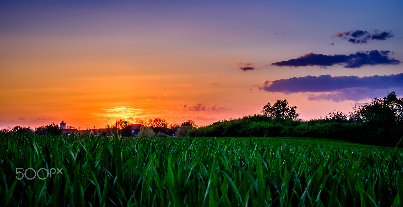 Fujifilm X-E2 + Fujifilm XC 50-230mm F4.5-6.7 OIS II sample photo. Spring sunset photography