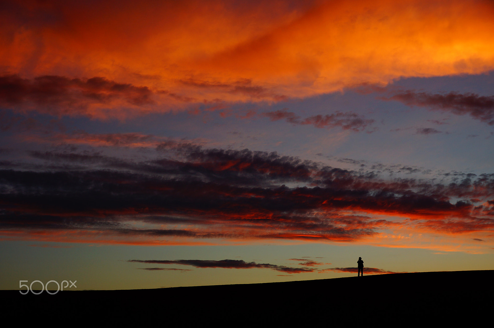 Sony SLT-A77 sample photo. Sun-seekerssssss photography
