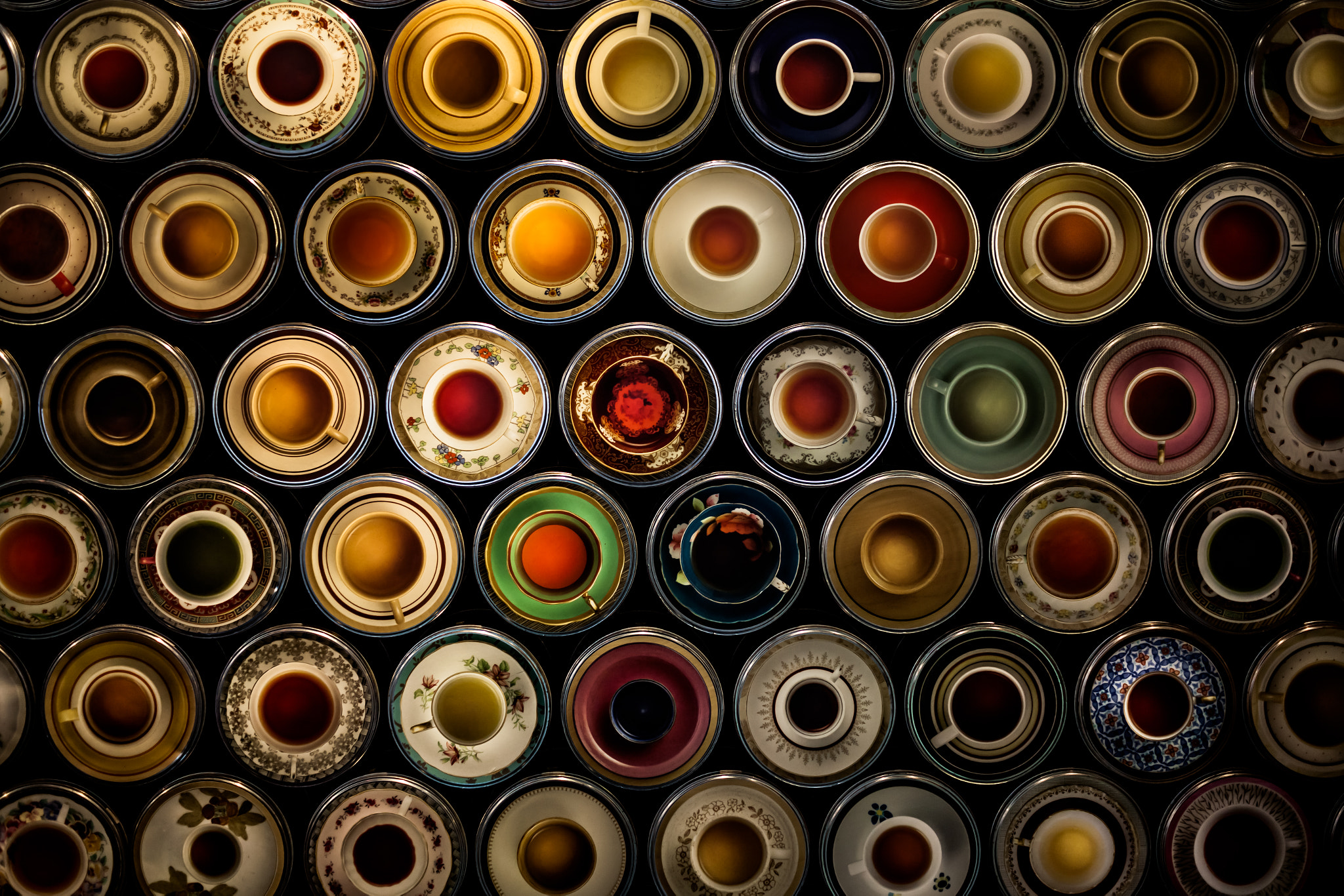 ZEISS Makro-Planar T* 50mm F2 sample photo. Tea time photography
