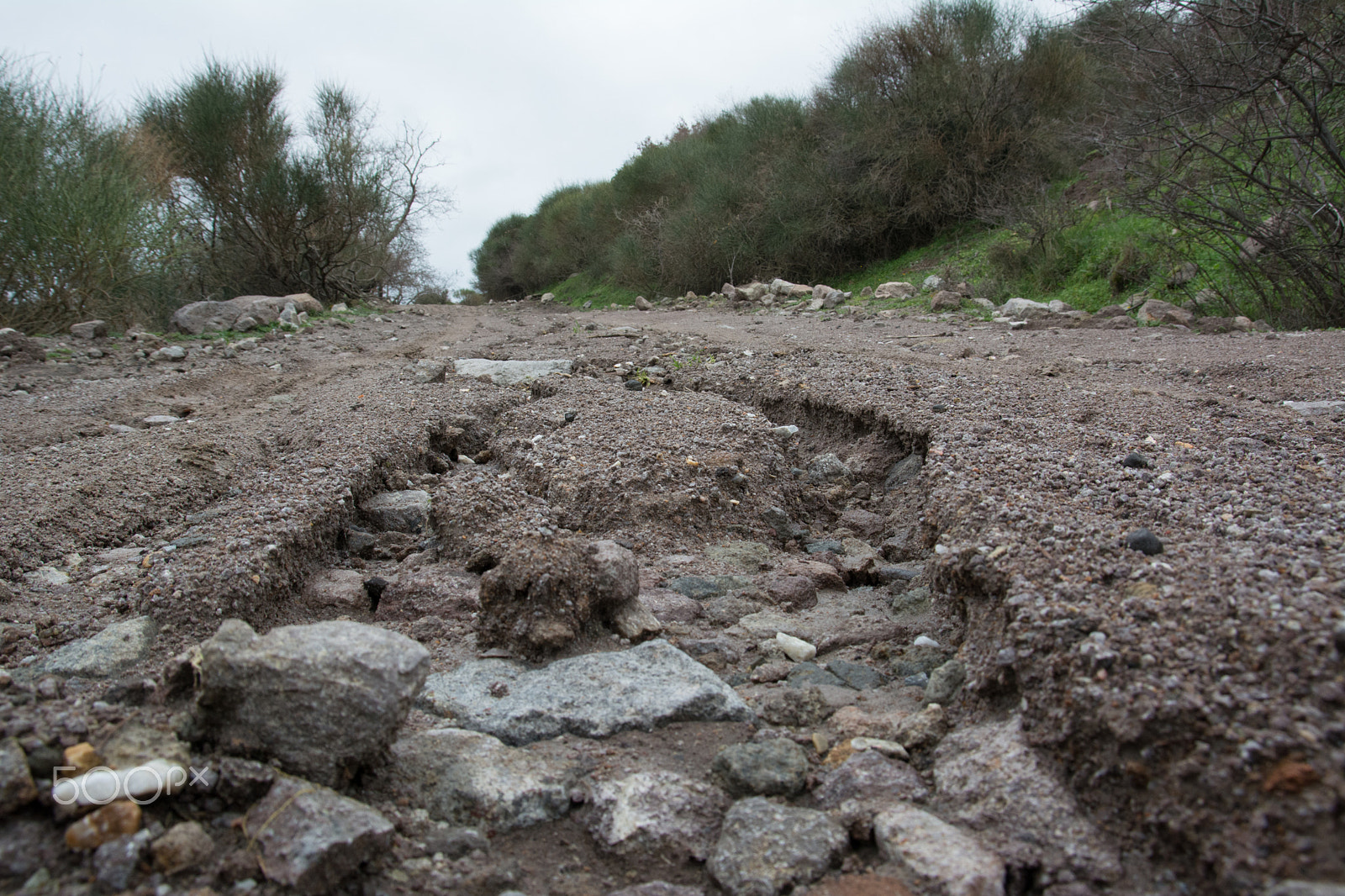 Sigma 17-70mm F2.8-4 DC Macro OS HSM sample photo. Road scars photography