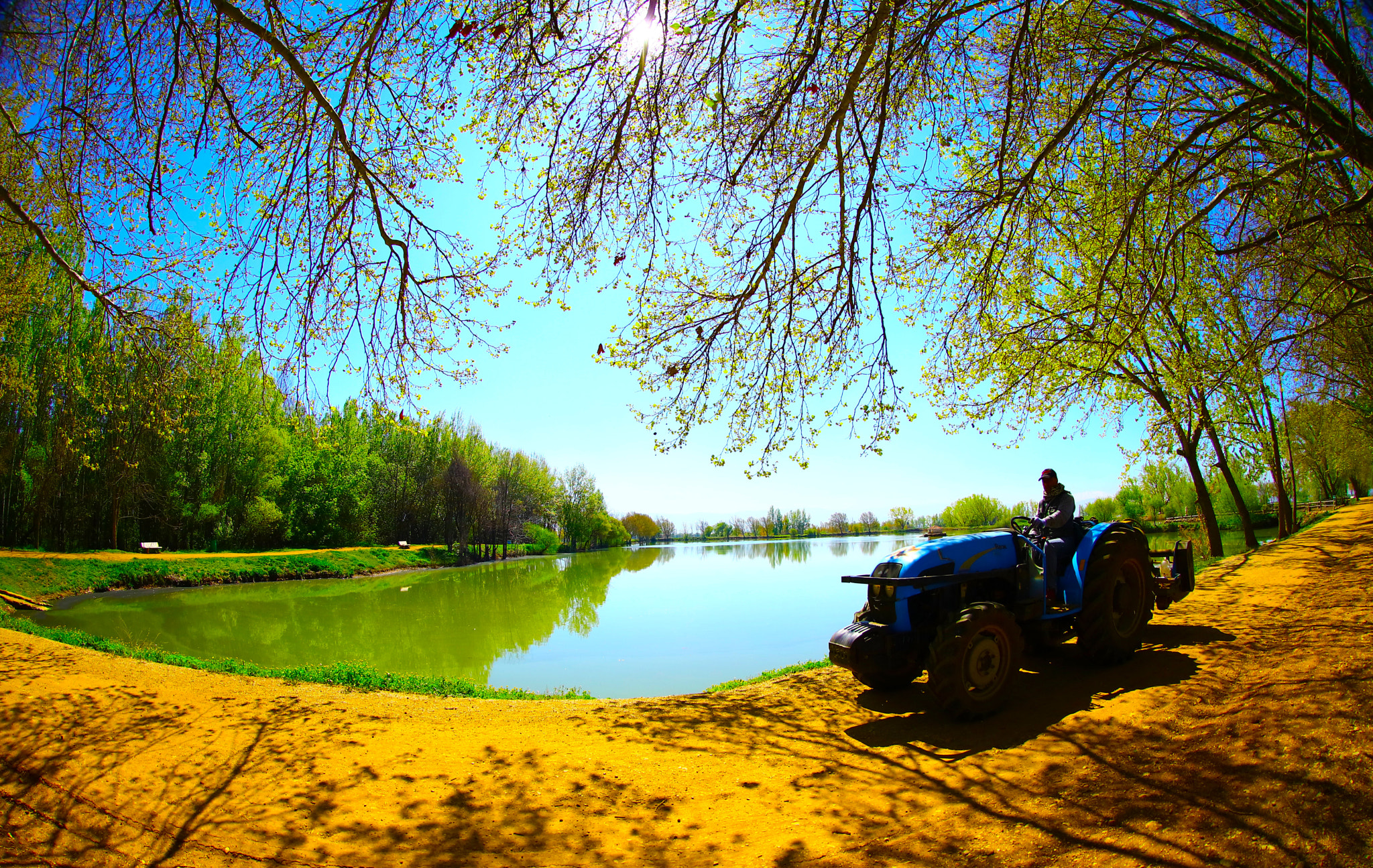 Canon EF 8-15mm F4L Fisheye USM sample photo. Domaine de taanayel 3 photography