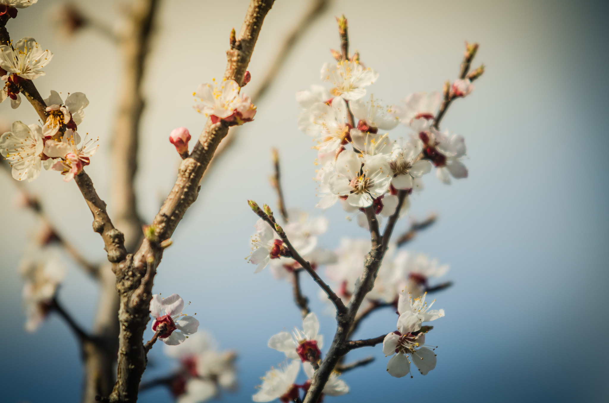 Sigma 70-200mm F2.8 EX DG OS HSM sample photo