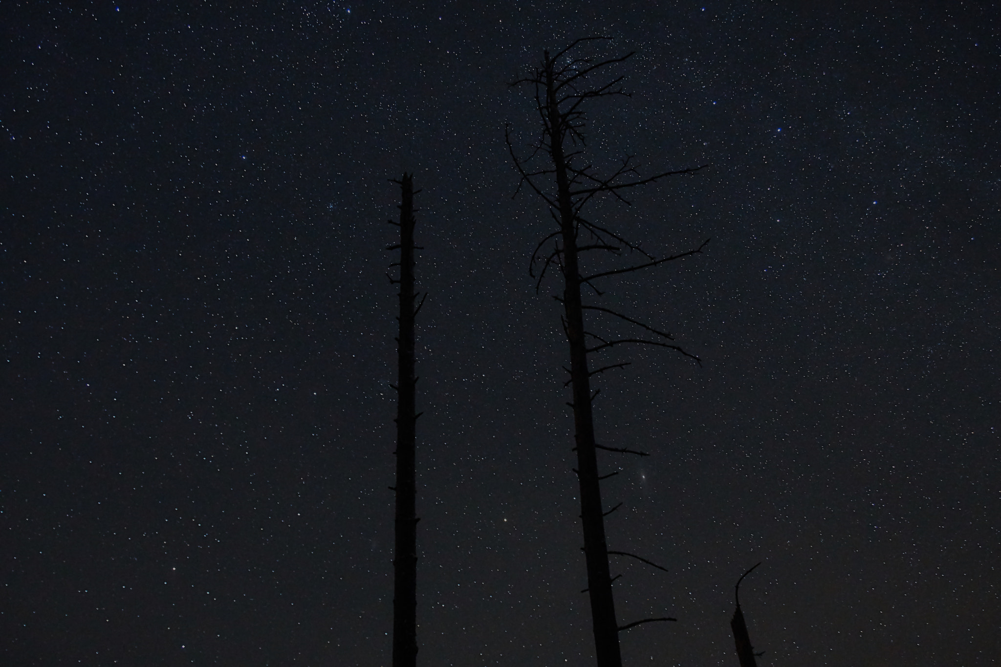 Sony ILCA-77M2 + 24-70mm F2.8 sample photo. Sammalranta night sky photography