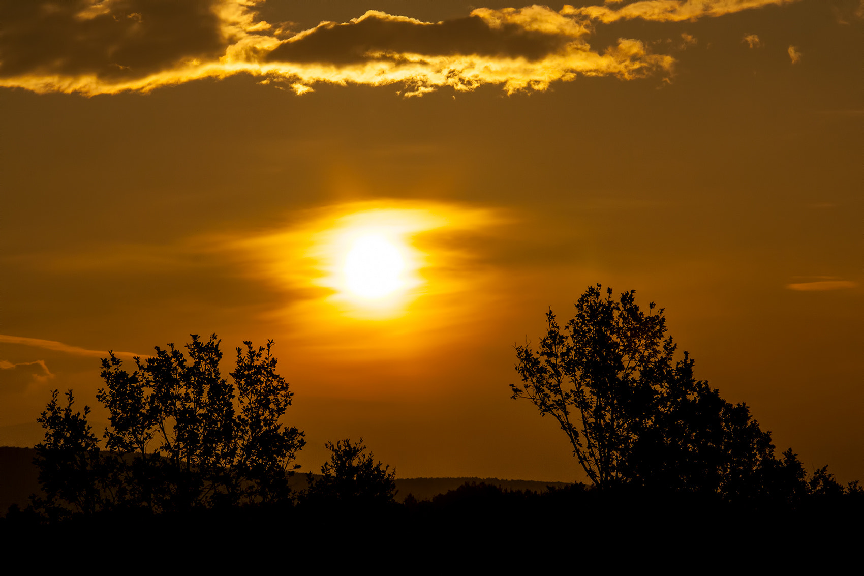 Canon EOS 1000D (EOS Digital Rebel XS / EOS Kiss F) sample photo. Tramonto alberato photography
