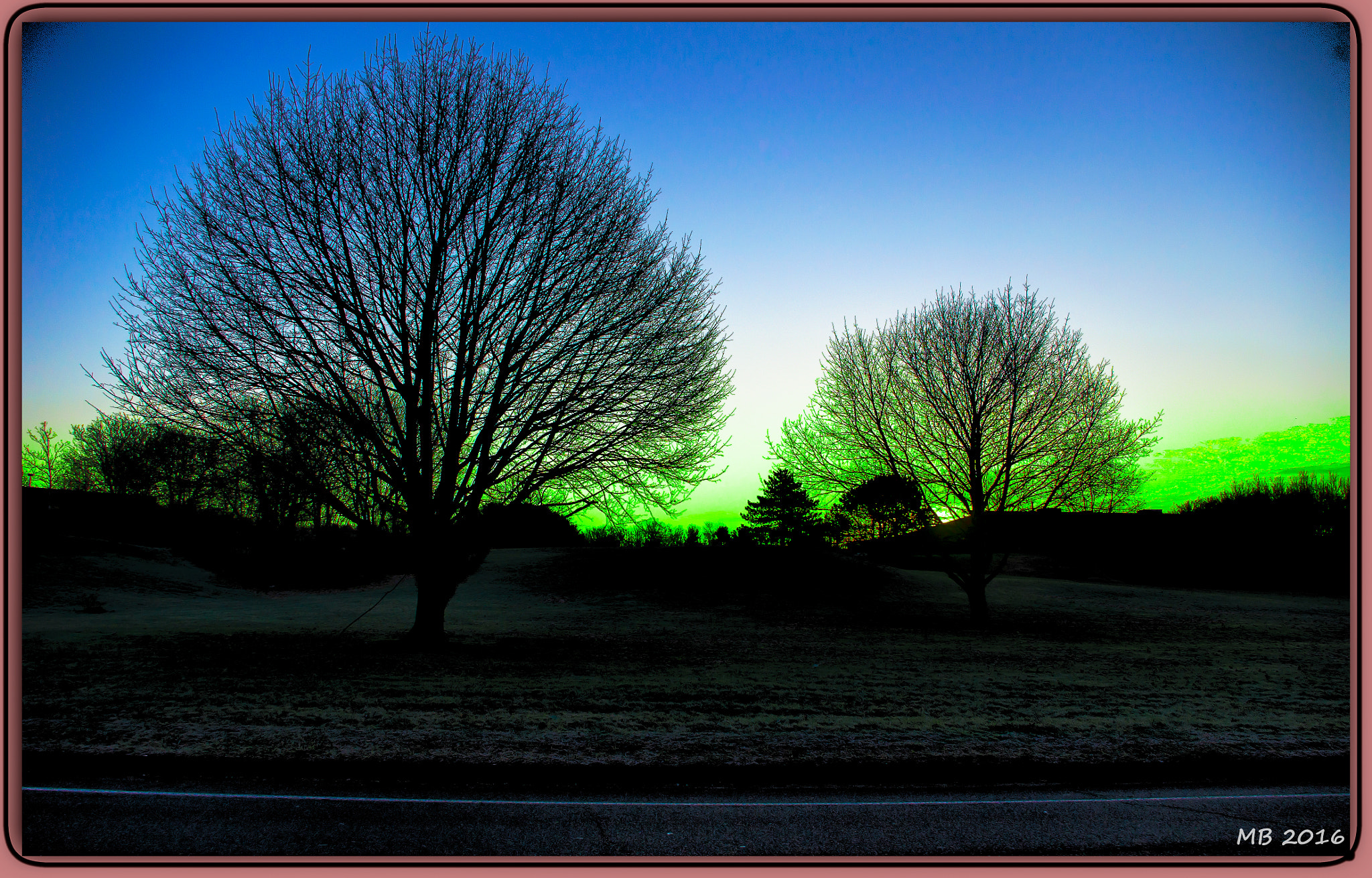 Pentax K-x sample photo. Two trees at sunrise photography