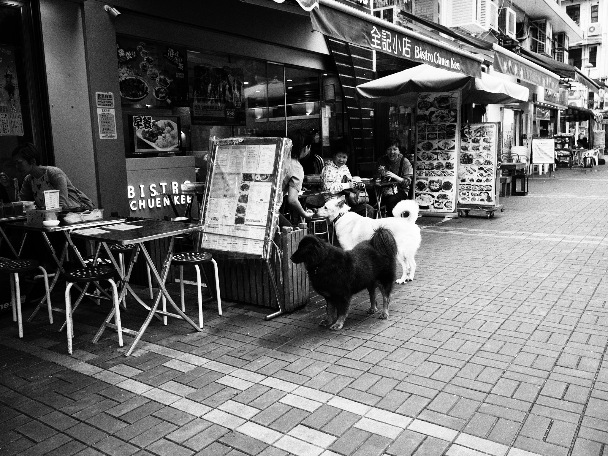 Olympus OM-D E-M5 II + LEICA DG SUMMILUX 15/F1.7 sample photo. Feed the dog photography