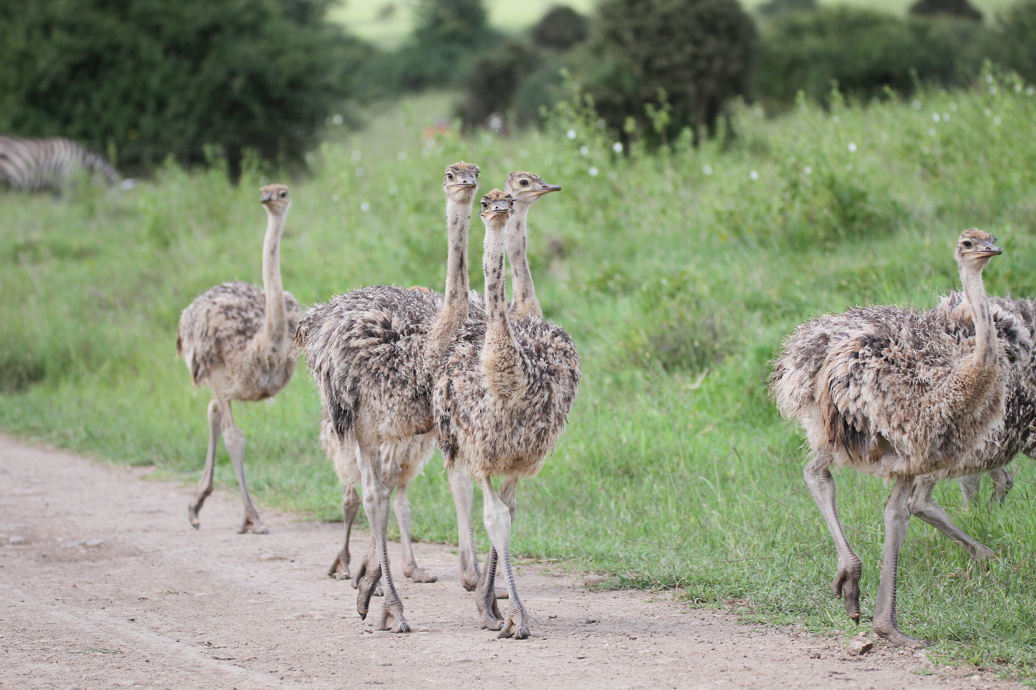 Sigma 150-600mm F5-6.3 DG OS HSM | C sample photo. Happy family photography