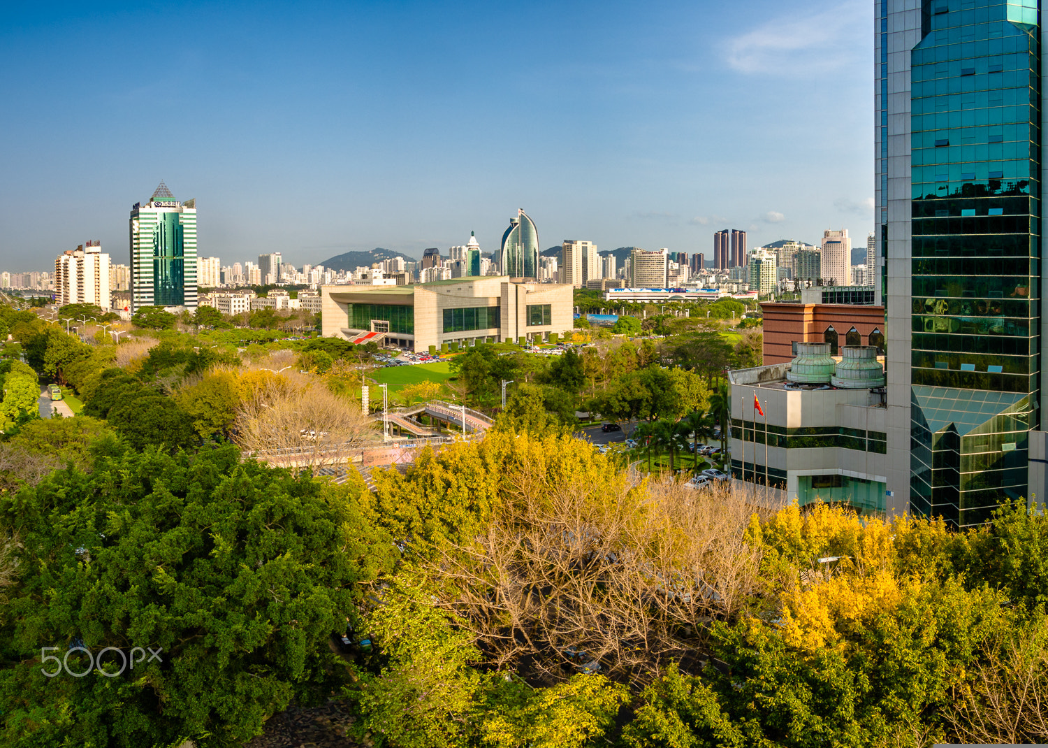 Olympus OM-D E-M10 + Panasonic Lumix G 14mm F2.5 ASPH sample photo. Yellow spring photography