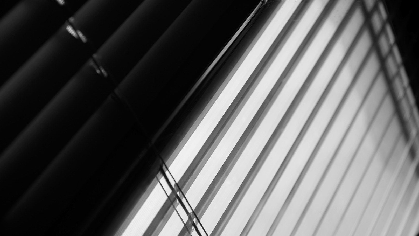 Sony SLT-A77 sample photo. Untitled photography