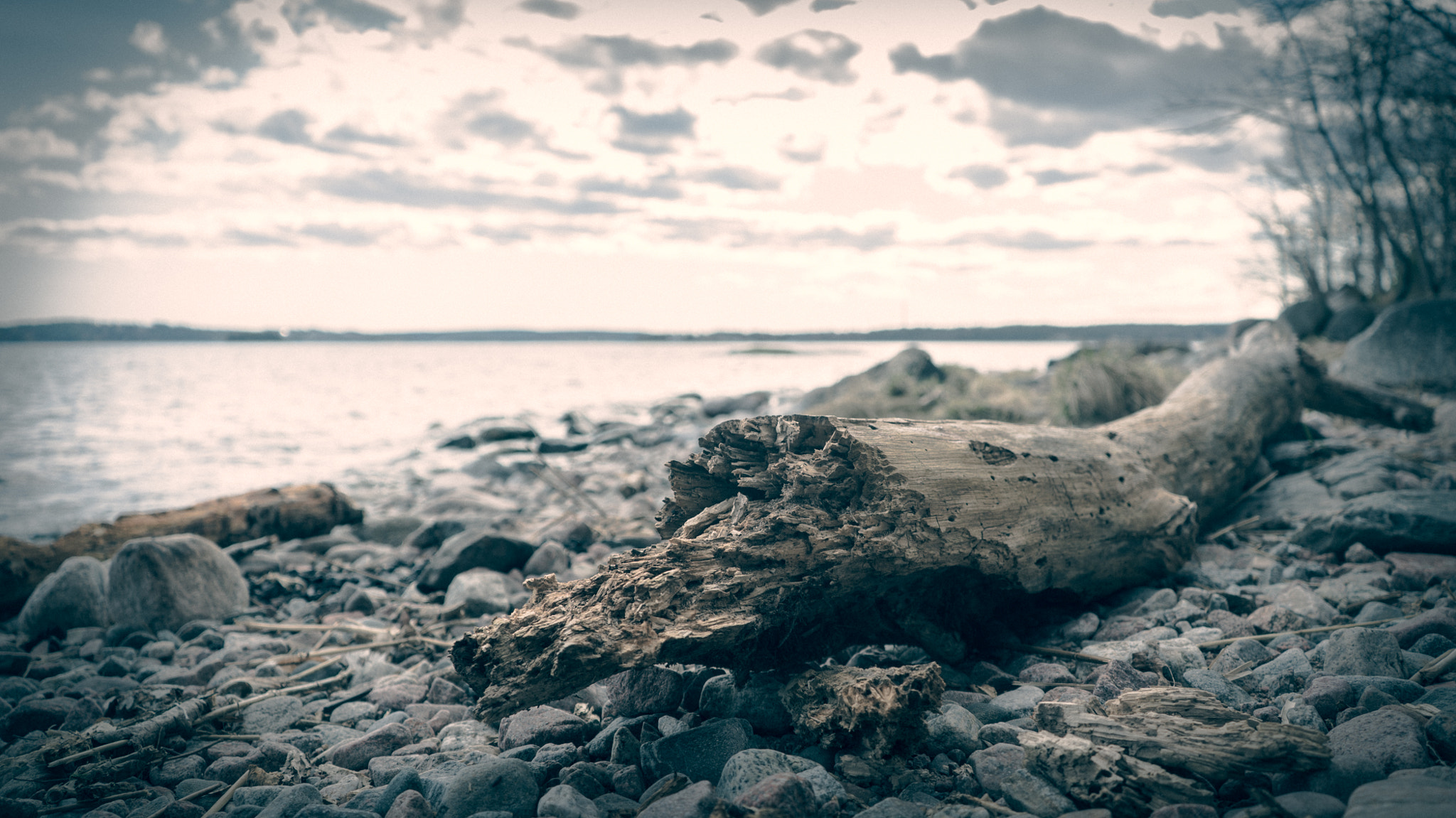 Sony a7S II + Sony FE 28-70mm F3.5-5.6 OSS sample photo. Shoreline with driftwood photography