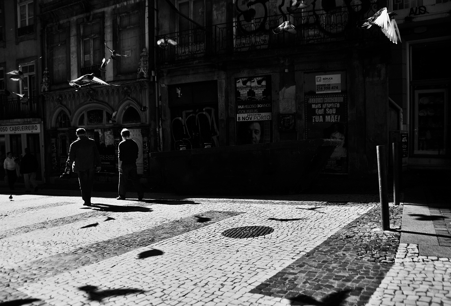 Nikon D60 sample photo. Os passaros photography