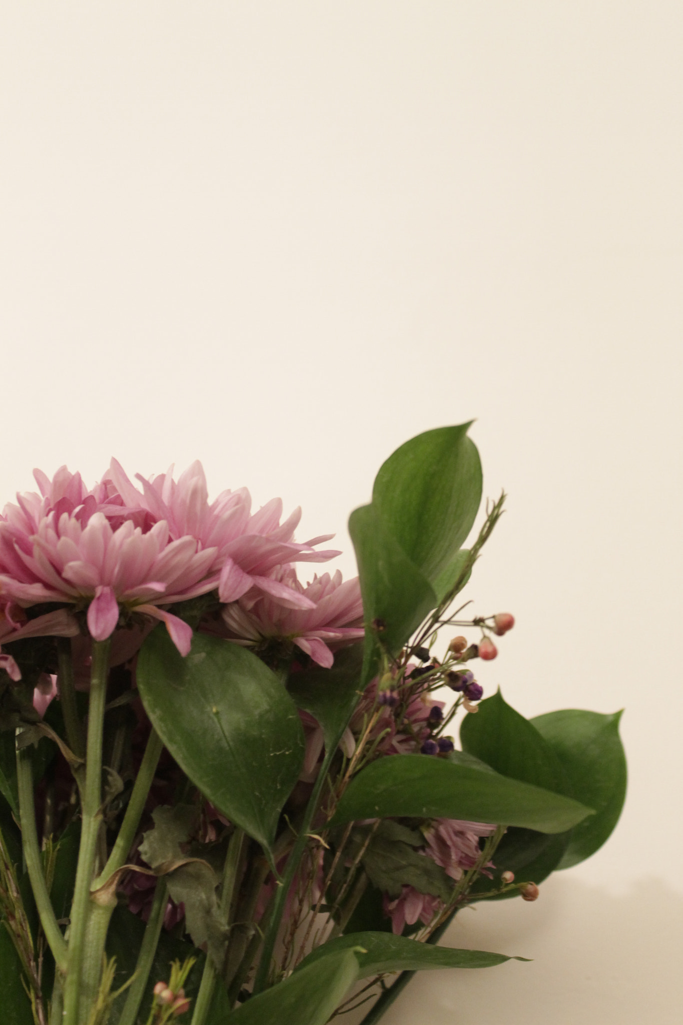 Canon EOS 1100D (EOS Rebel T3 / EOS Kiss X50) sample photo. Bouquet photography