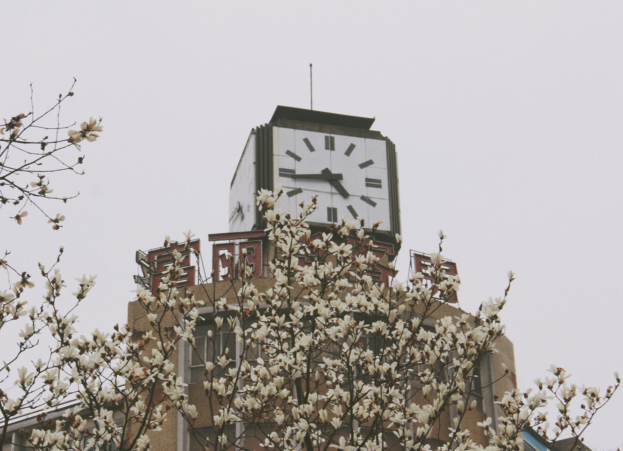 Canon EF-S 18-135mm F3.5-5.6 IS sample photo. Clock photography