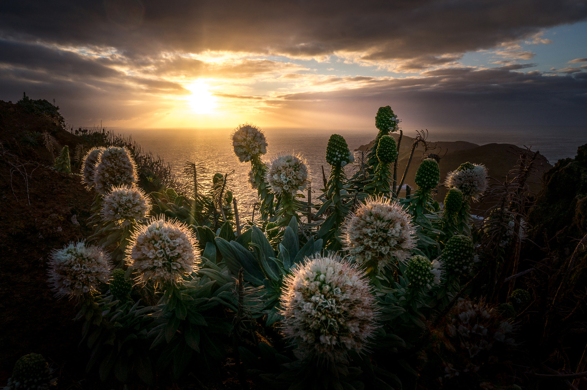 Sony Alpha NEX-6 + Sony E 10-18mm F4 OSS sample photo. Sunrise over the edge of madeira photography