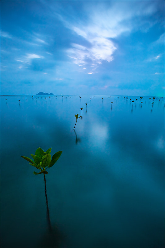 Canon EOS 5D Mark II + Canon EF 16-35mm F2.8L USM sample photo. Evening on koh phangan photography