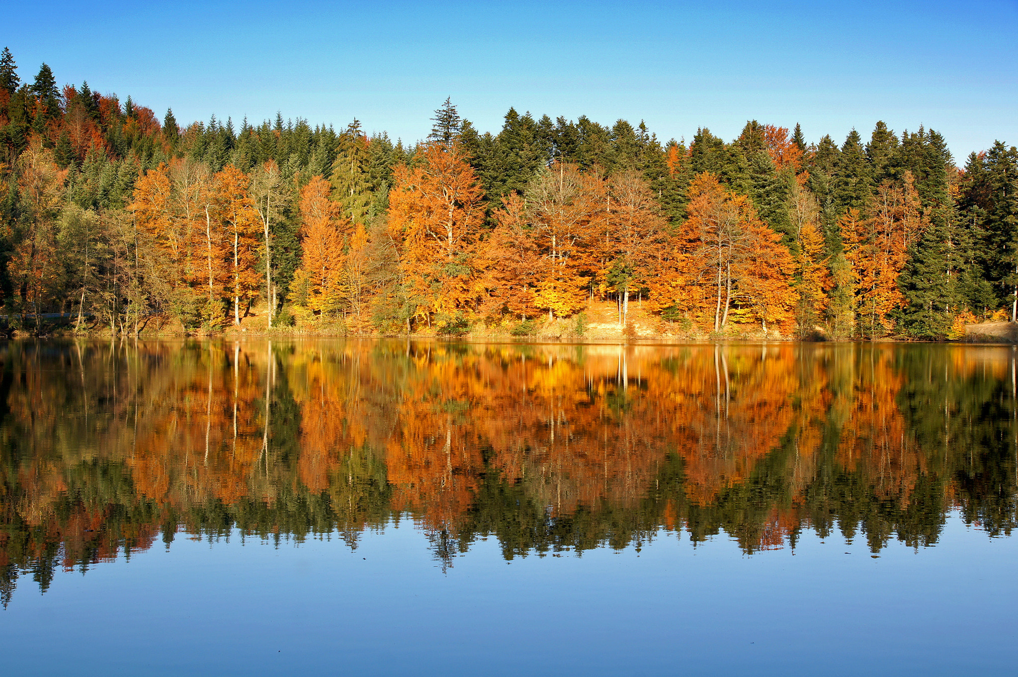 Sony Alpha DSLR-A580 sample photo. Trakoscan lake photography
