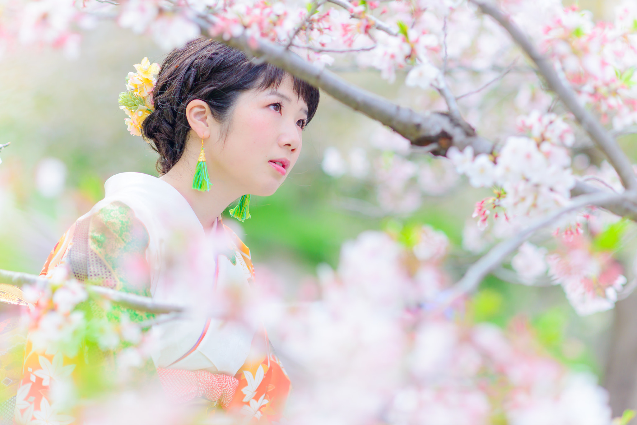Nikon D800E + AF DC-Nikkor 135mm f/2 sample photo. Sakura front photography
